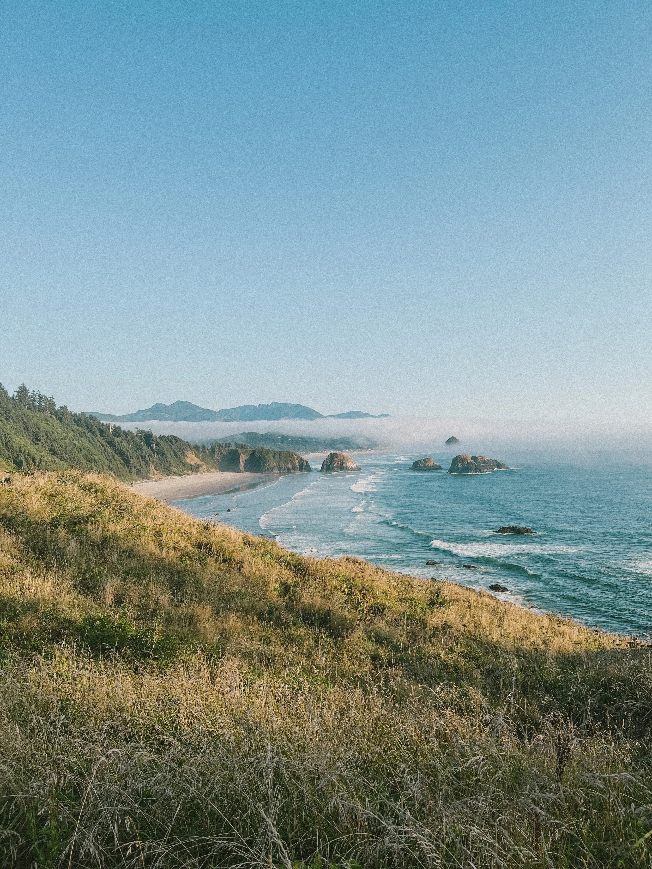 Scenic view of a coastline with grassy cliffs in the foreground, sandy beach, sea stacks, and distant mountains against a clear blue sky.