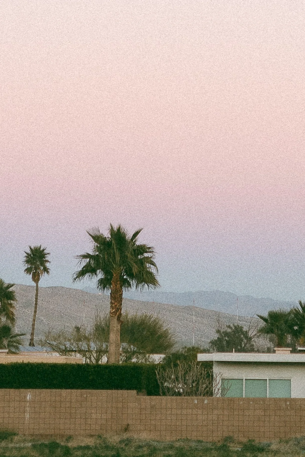 A residential area with palm trees, a house, and mountains in the distance under a sky with a pinkish hue.