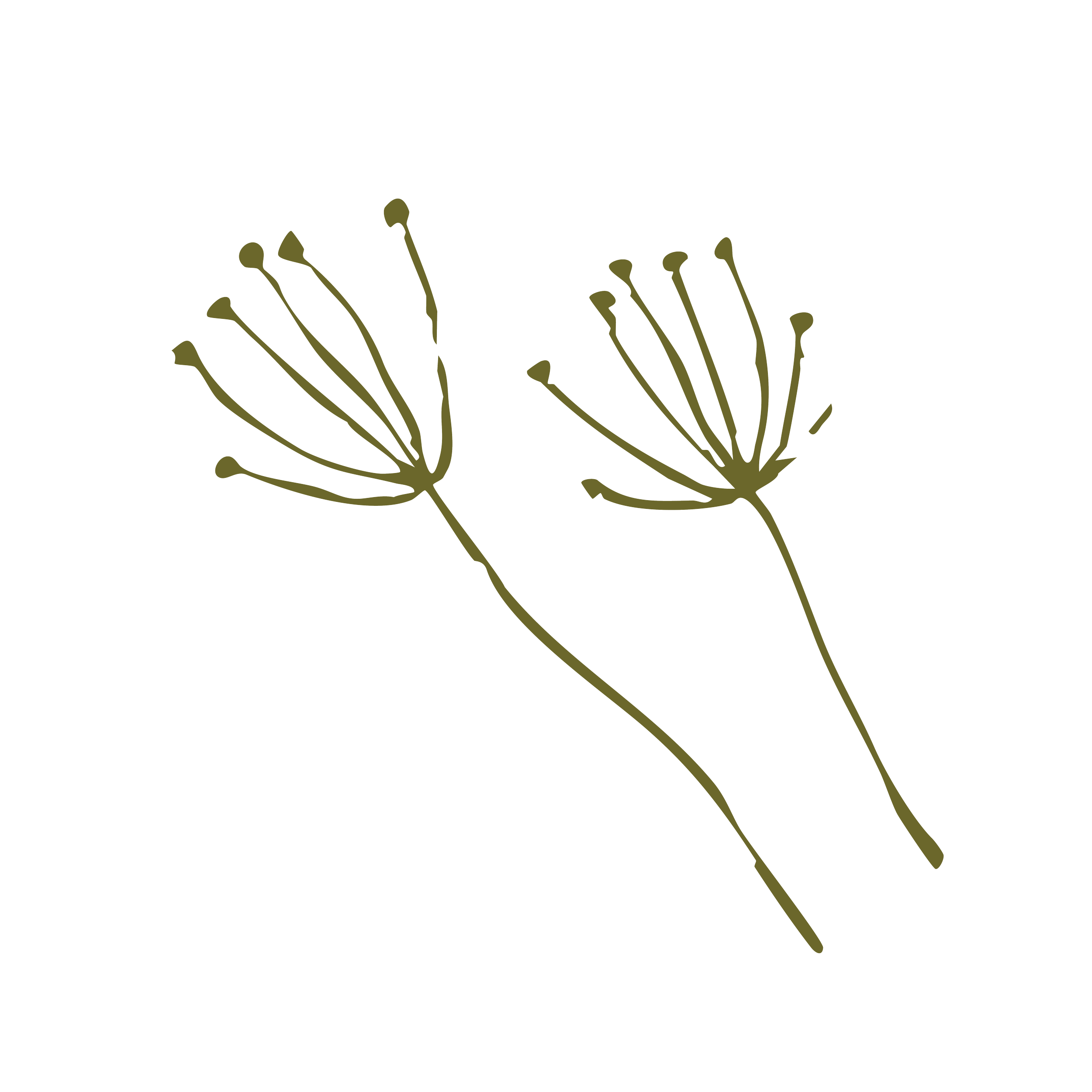 Line drawing of two dried dill seed heads with elongated stems.