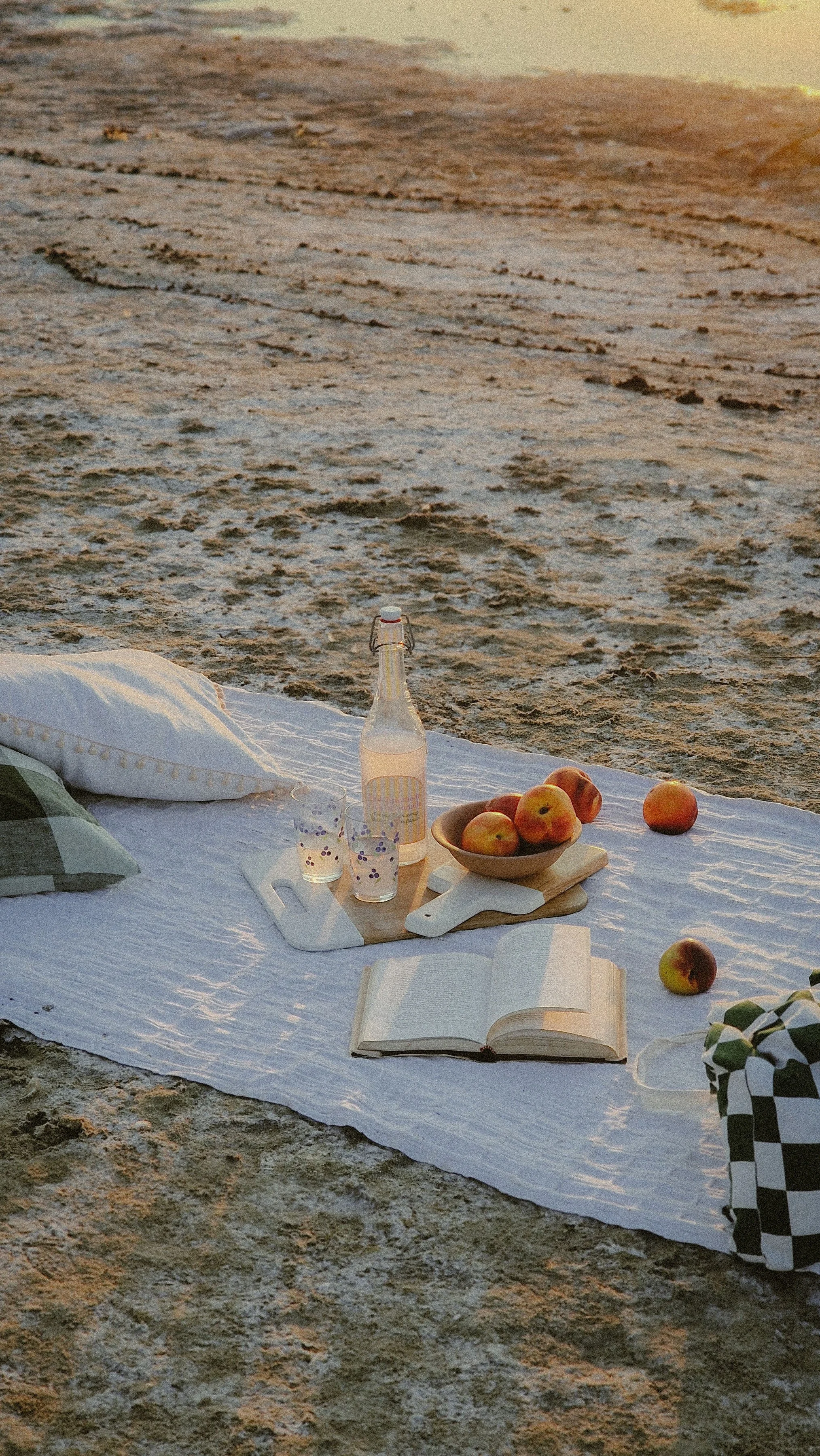 A picnic setup on a beach with a white blanket, a pillows, a book, a bottle of lemonade, two glasses, a bowl of apples, and some loose apples. The scene is lit by warm sunlight.