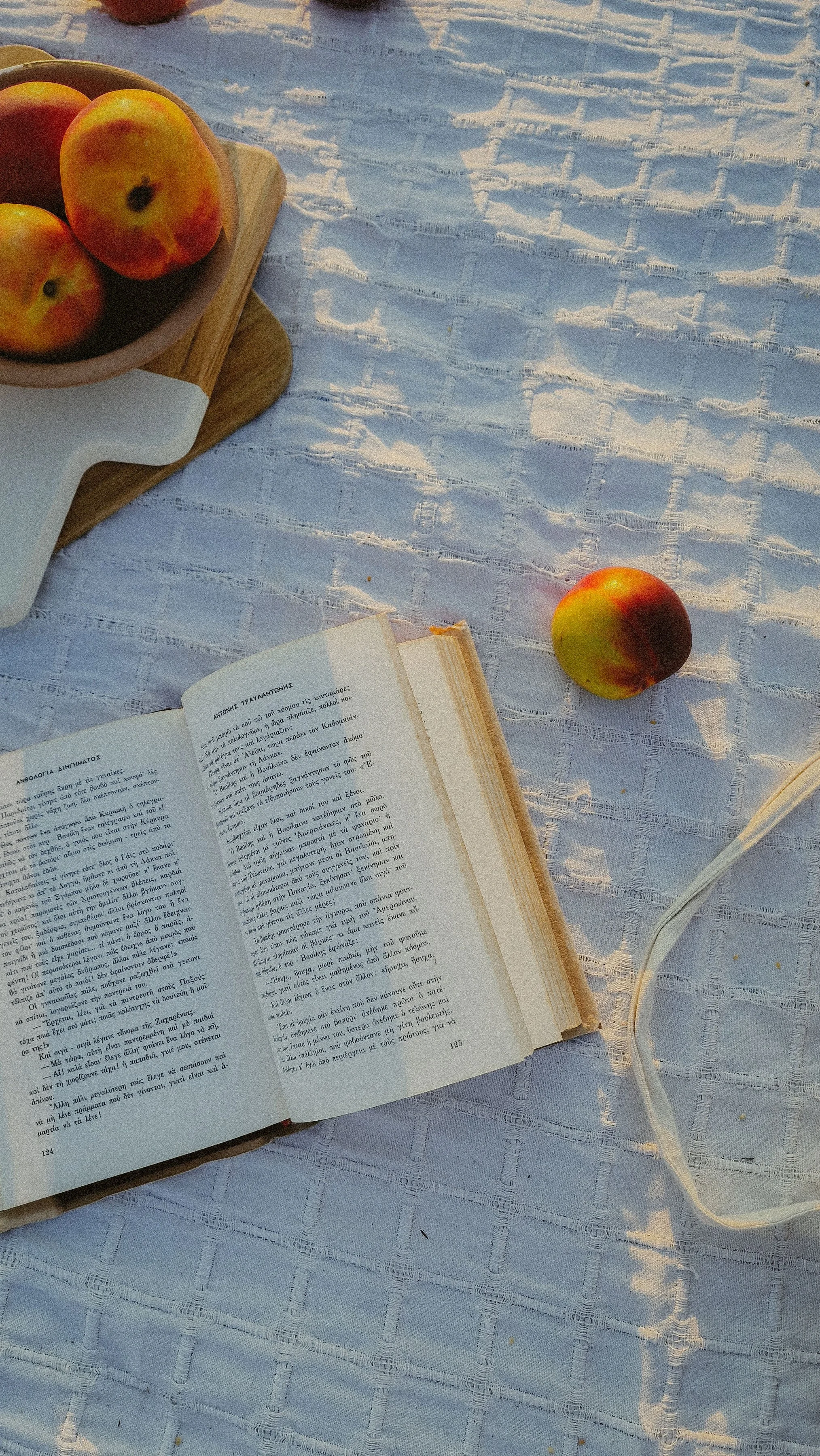 Open book, apples in a bowl on a wooden board, and a loose apple on white textured fabric, with sunlight casting shadows.