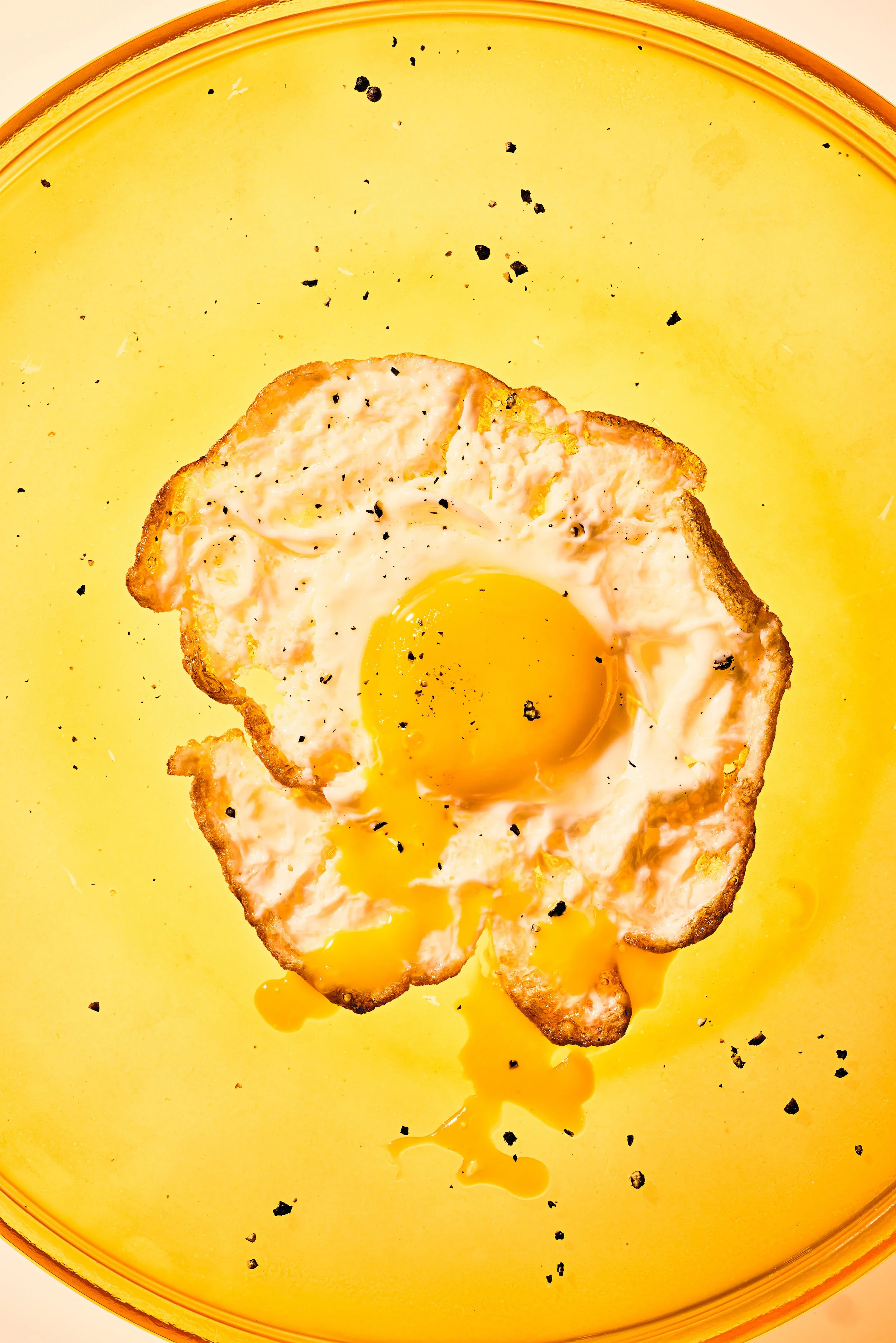 EGGS_21969.jpg