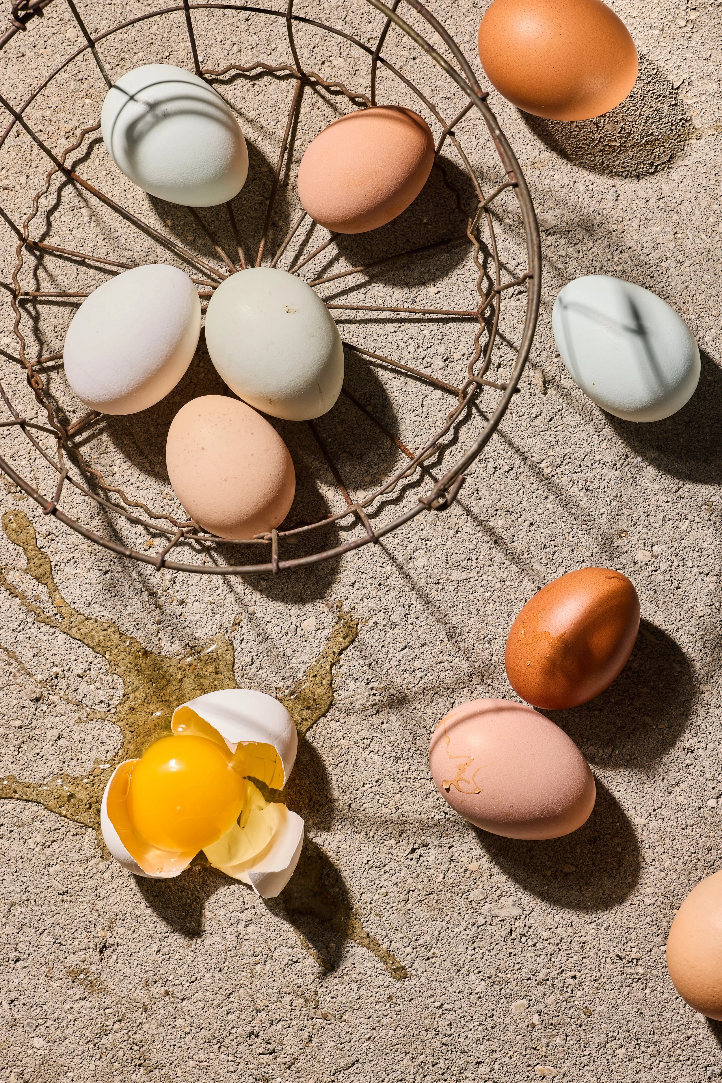 EGGS_22054.jpg