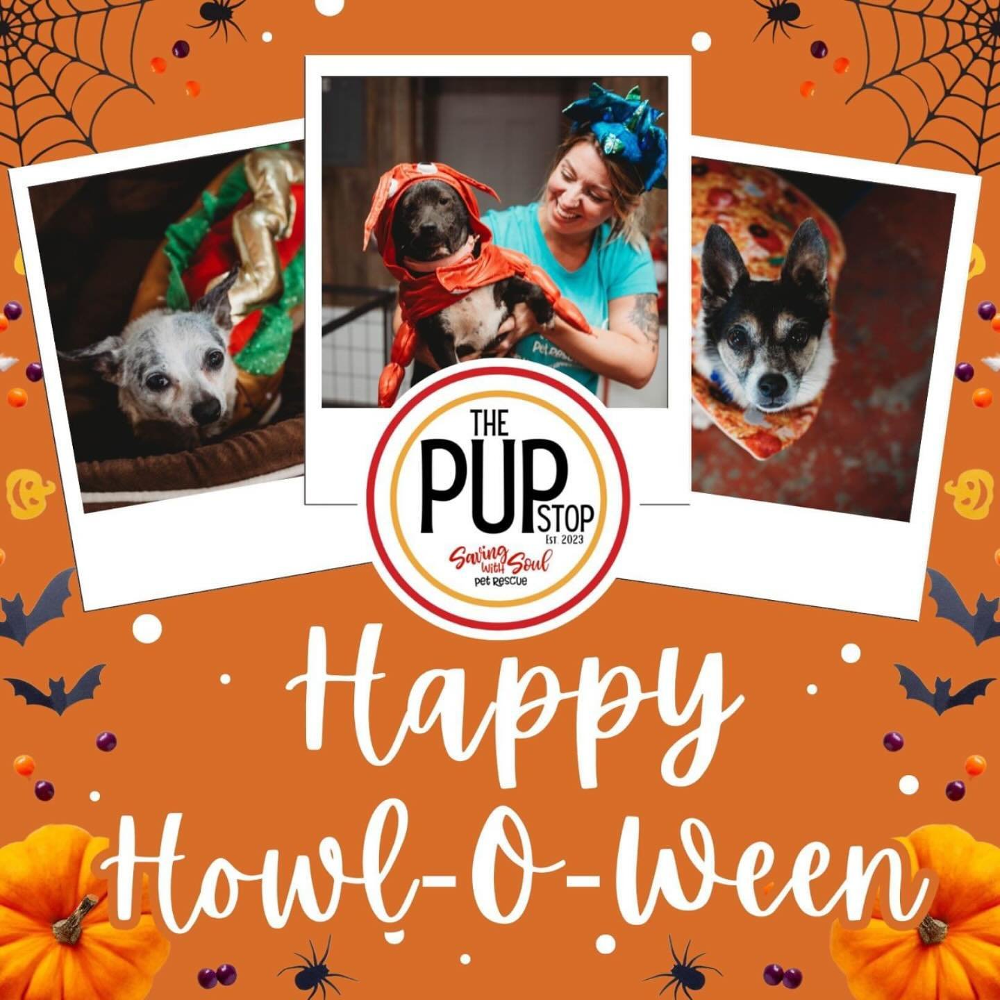 Happy Howl-O-Ween from all of us at the PupStop!

#happyhalloween #happyhowloween