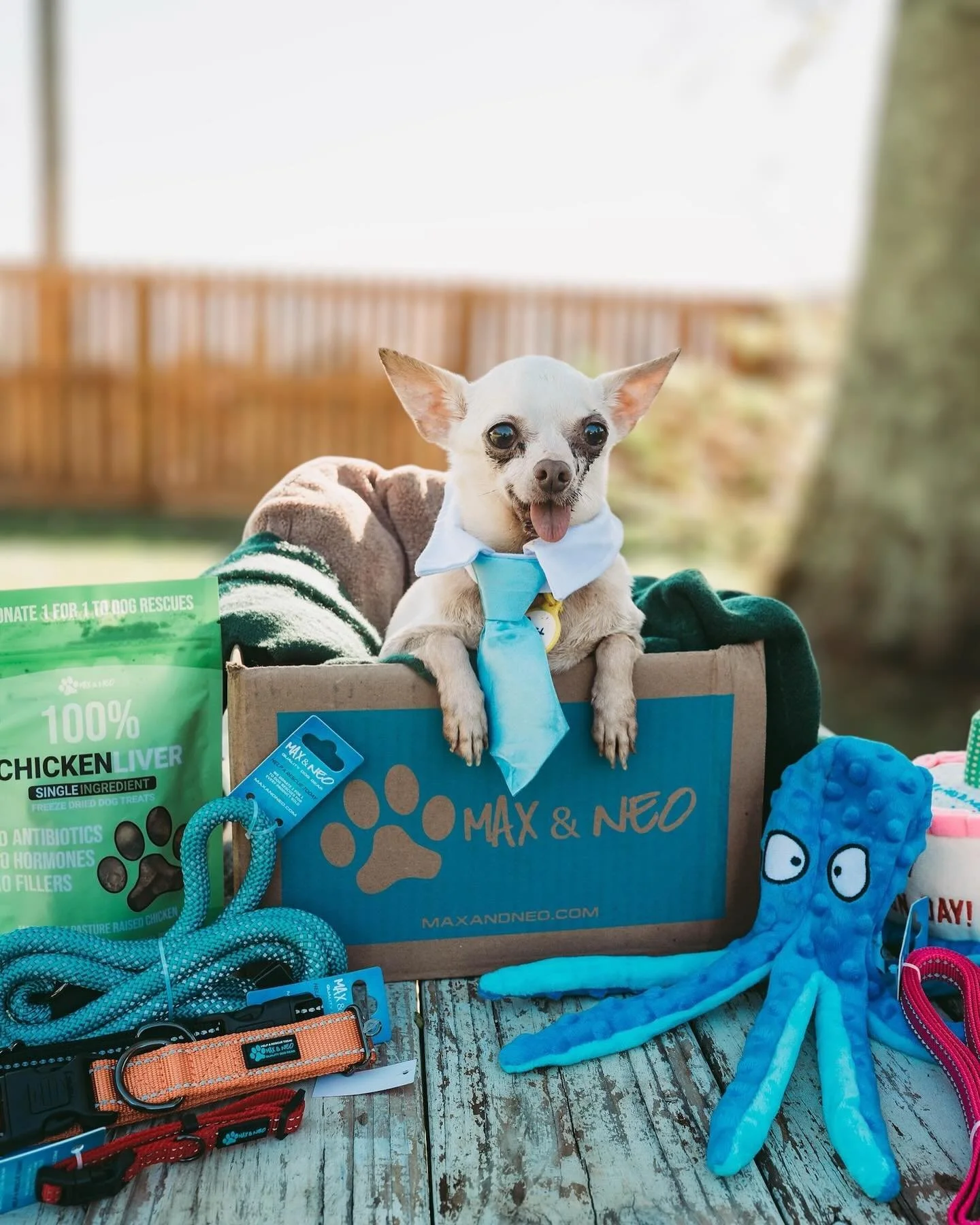 🌟🐾 A Pup-tastic Thank You! 🐾🌟 

Hey, fur-friends! It&rsquo;s me, your favorite rescue pup, Pert! 🐶 I just wanted to take a moment to send a HUGE thank you to @maxandneo for the pawsitively amazing goodies you sent my way! 🎉 

Your generosity is