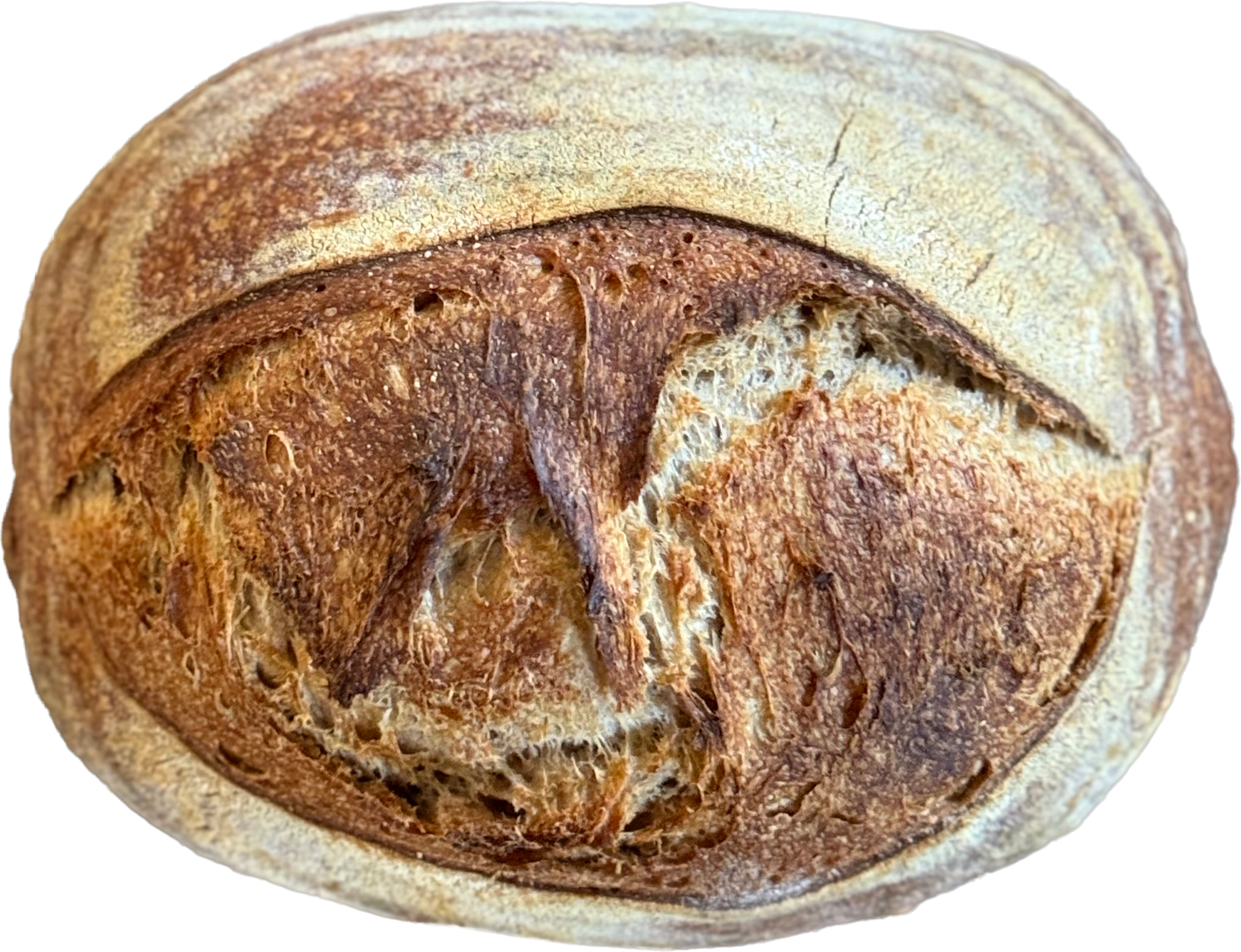 Close-up of Southeast Sourdough's round, crusty loaf of bread with a golden-brown crust.
