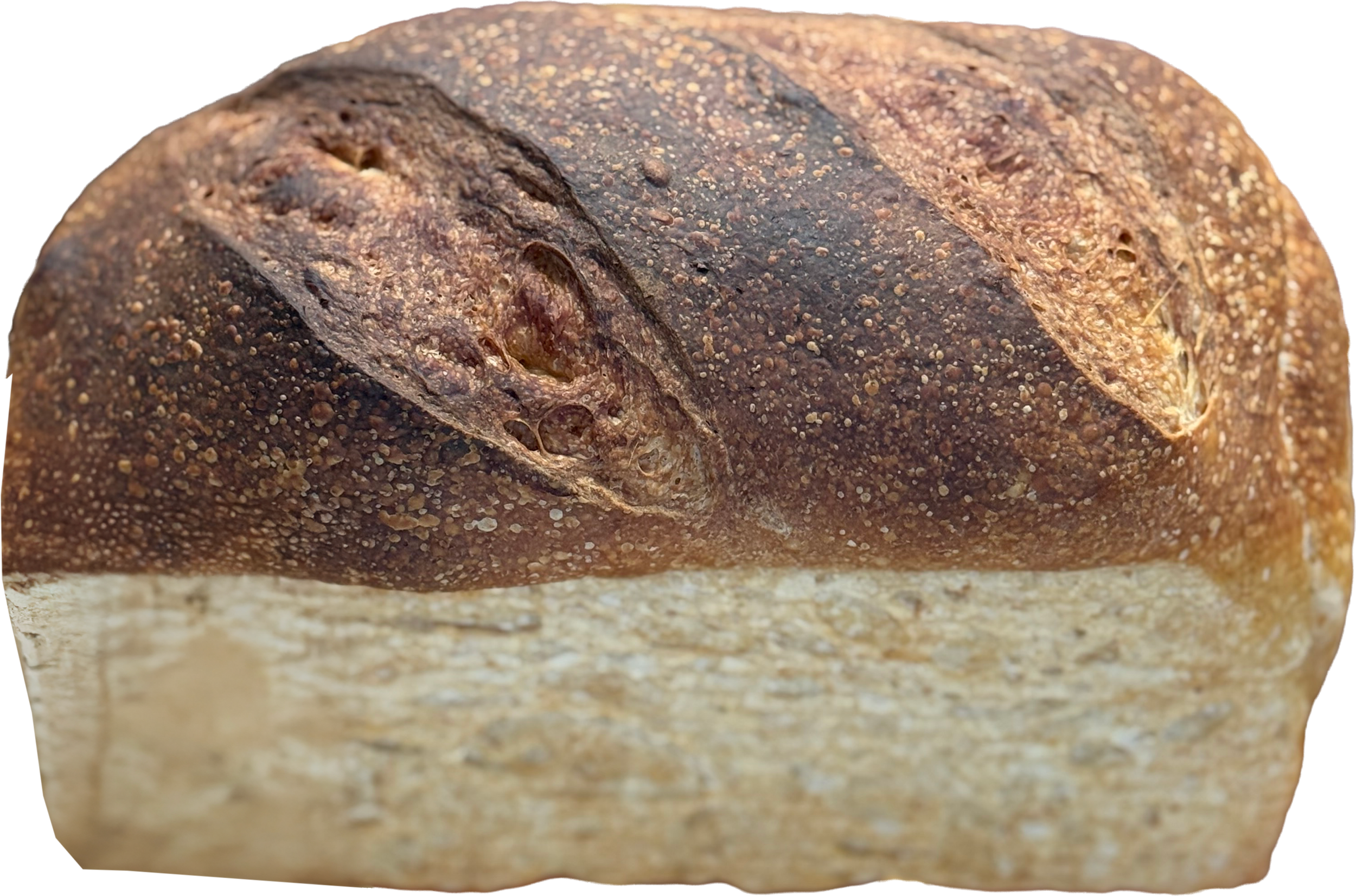 Close-up of Southeast Sourdough's loaf of rustic bread with a dark, crusty top and a light, soft interior