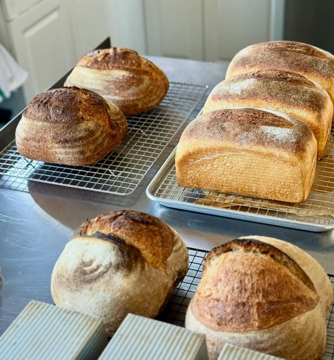 Southeast Sourdough's freshly baked loaves of bread cooling on wire racks, with some loaves having a crusty, golden-brown exterior and others slightly darker.