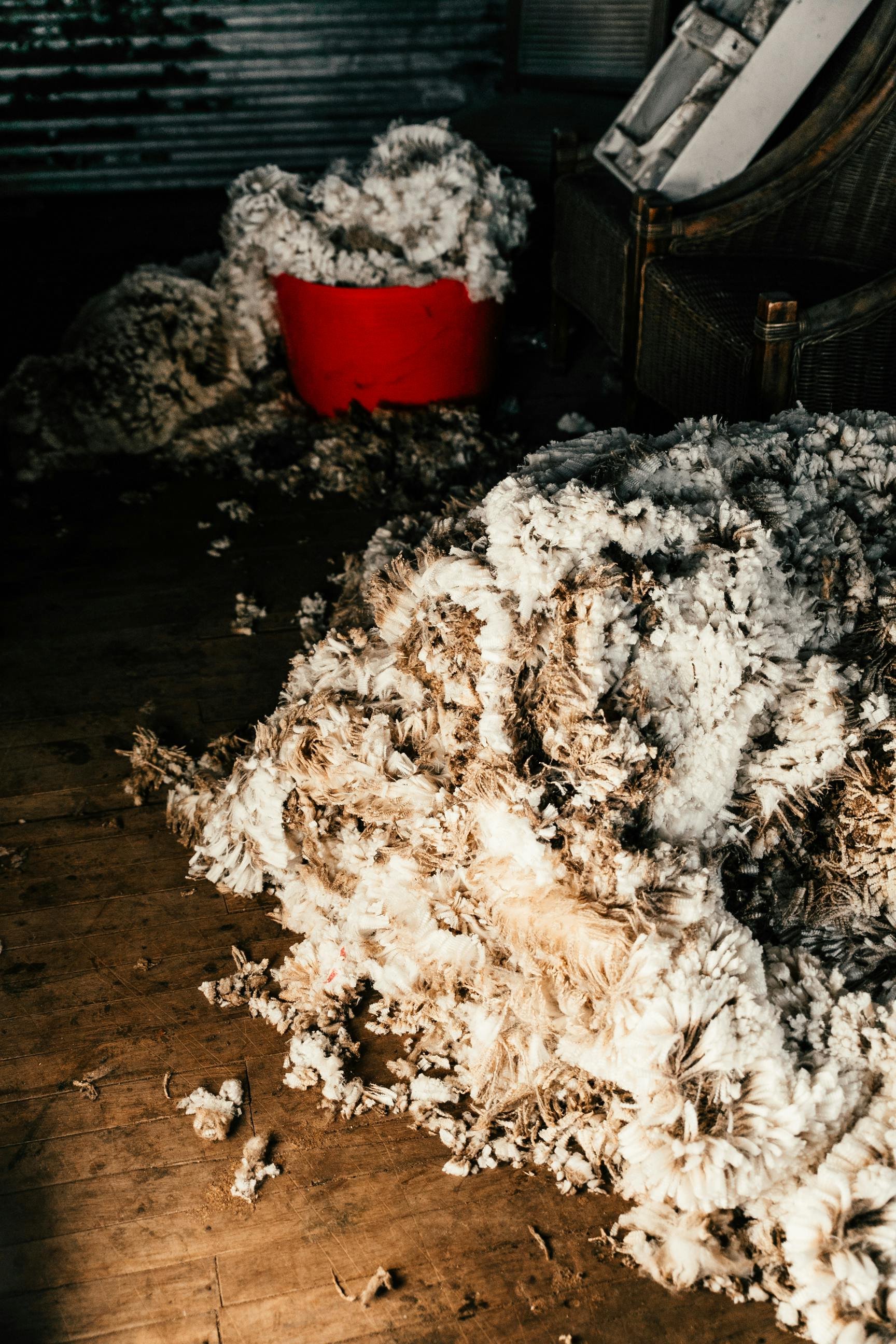 Wool Pool (at NELE)
