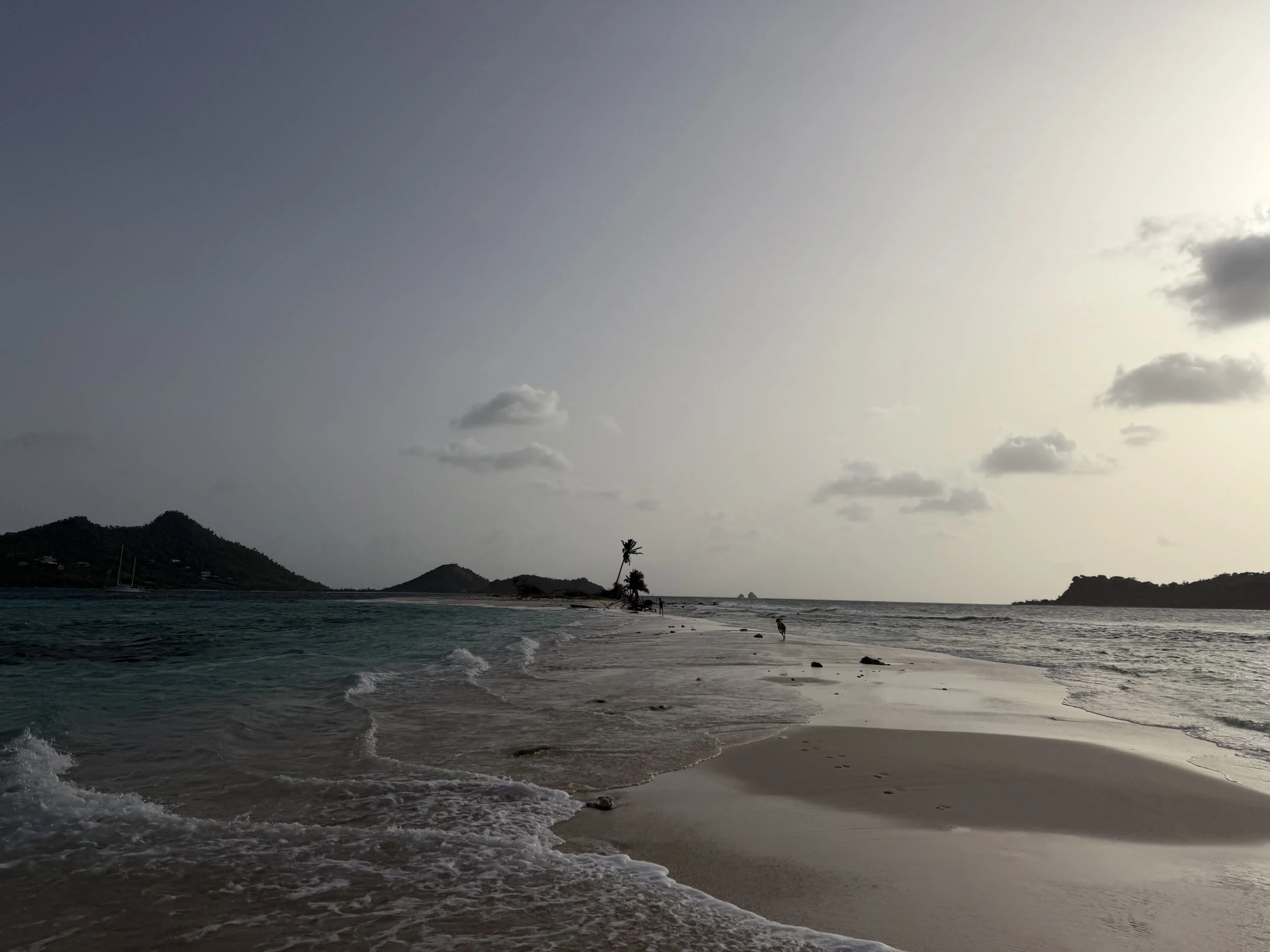 Carraicou beach running with Cocoa