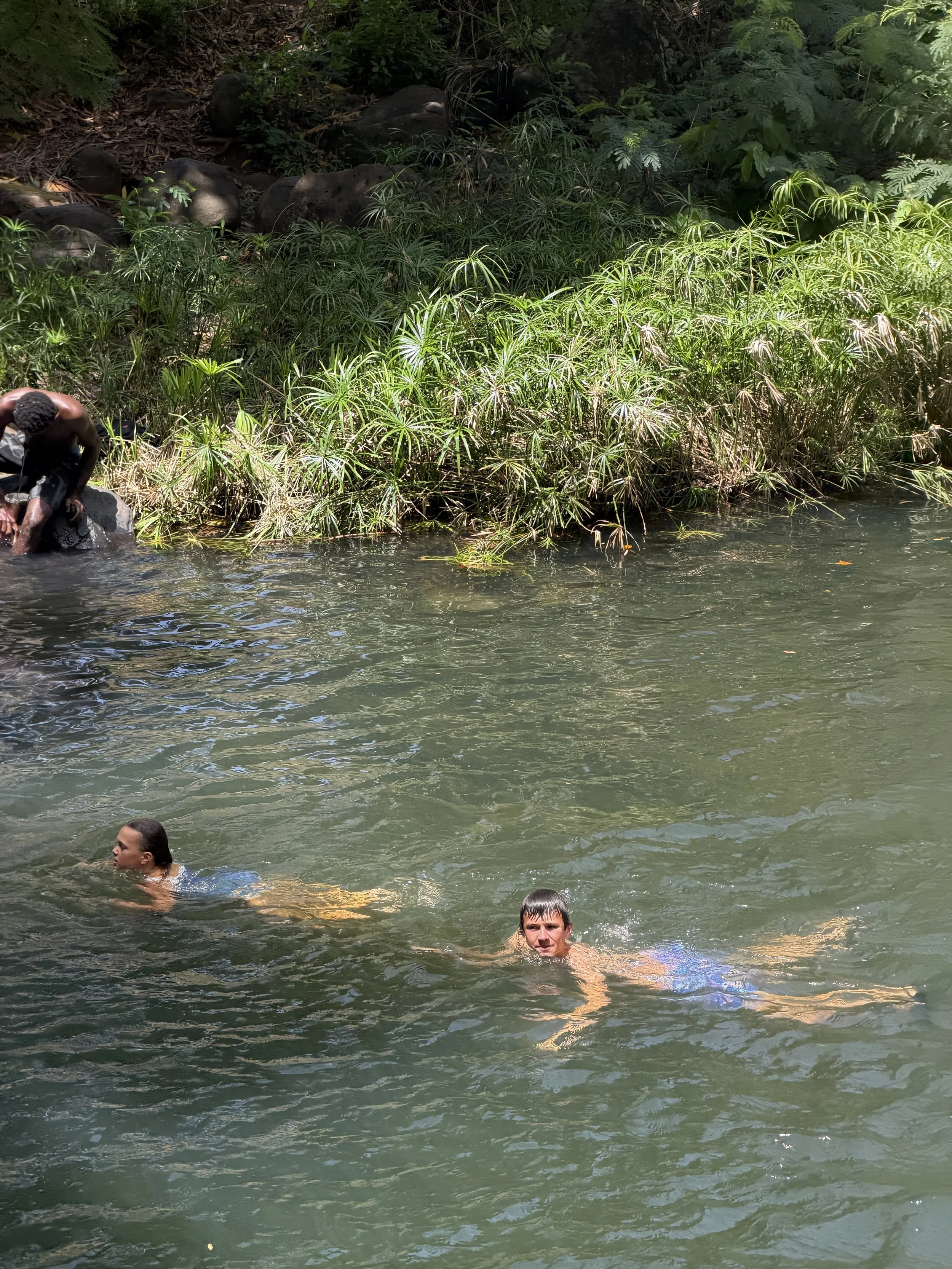 You can jump off a ledge into the water in the lower falls, Mt. Carmel Falls