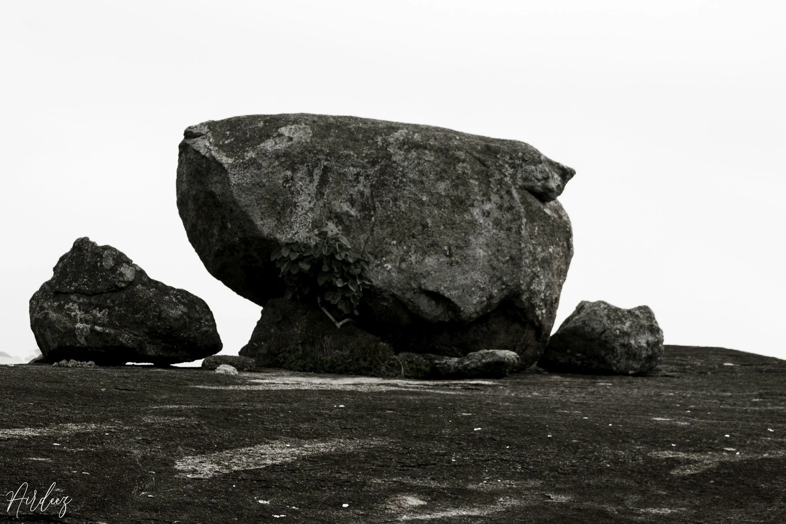 The Hidden Cost of Carrying Too Much as a Leader