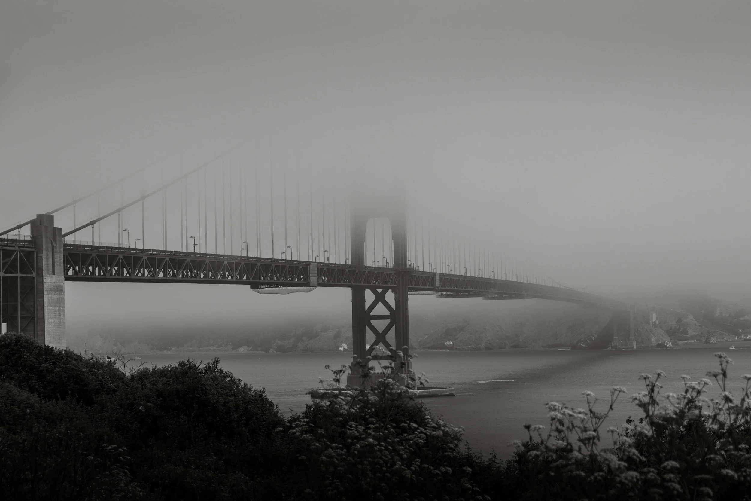 Navigating a Leadership Transition: What No One Tells You