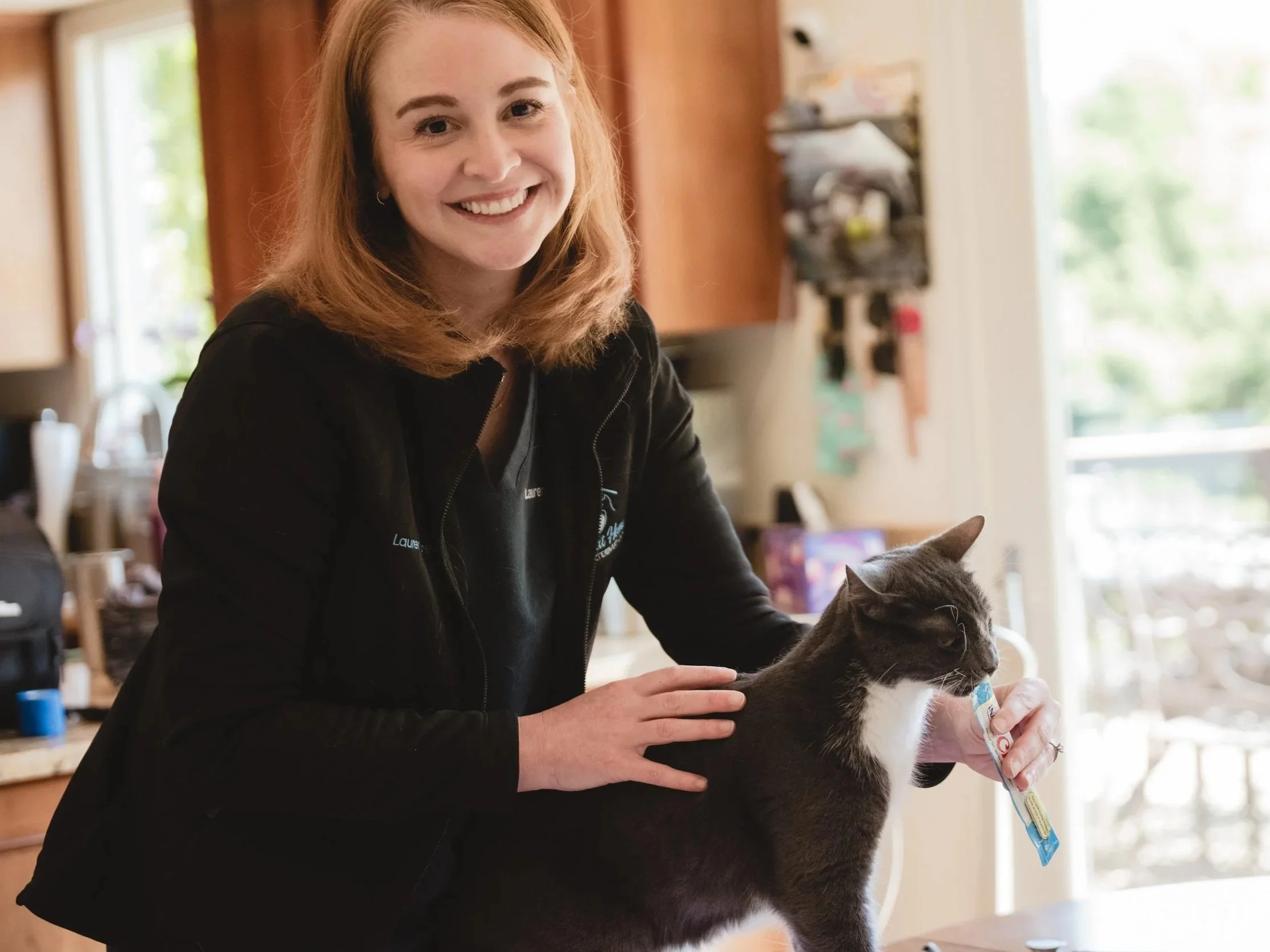 Dr. Lauren Jones, VMD with Paws at Home Mobile Veterinary Care using gentle handling with treats to examine a cat in his Phoenixville, PA home.