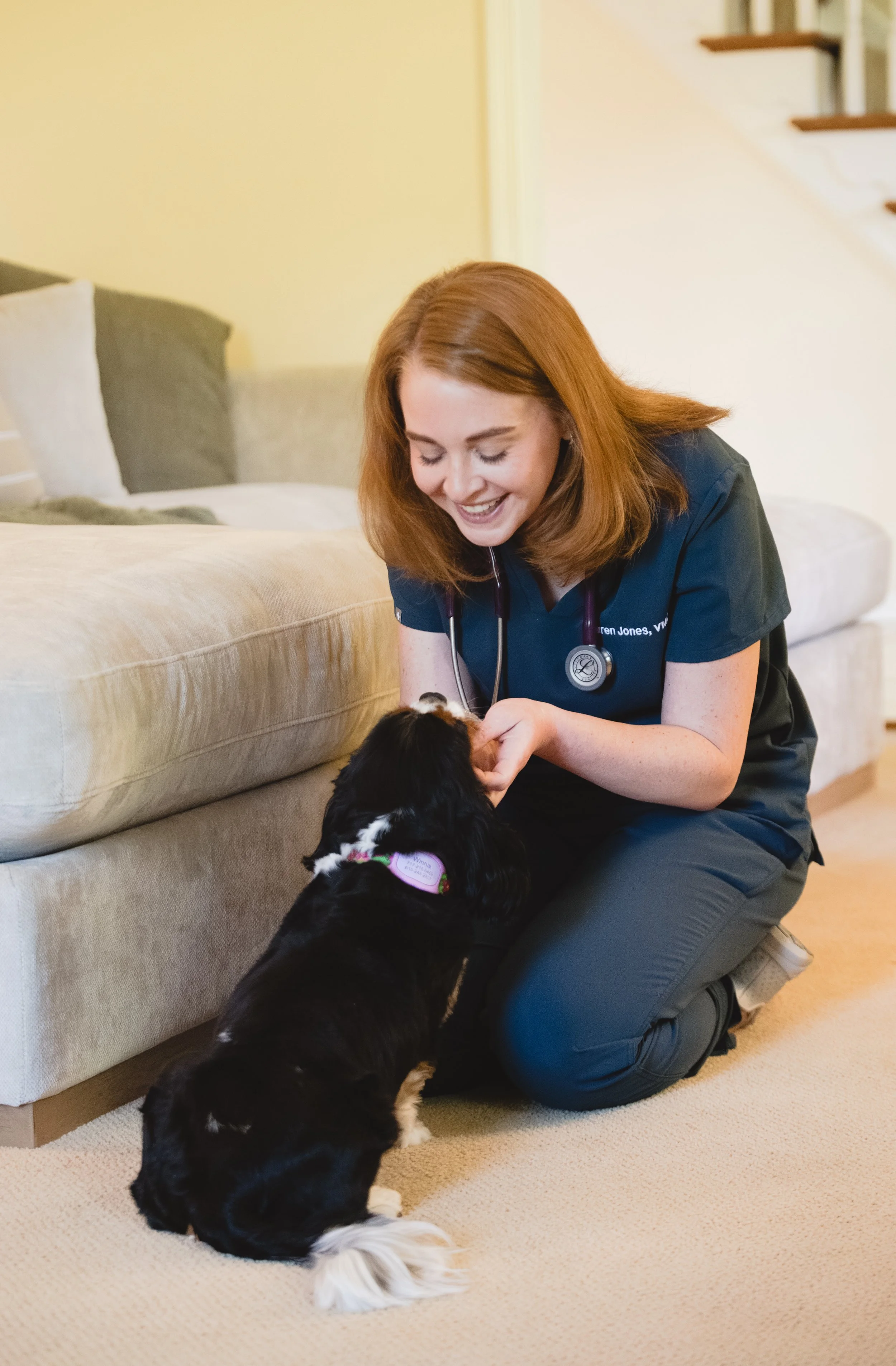 Paws at Home Mobile Veterinary Care veterinarian, Dr. Lauren Jones, VMD petting a dog after performing her home vet visit in King of Prussia, PA.