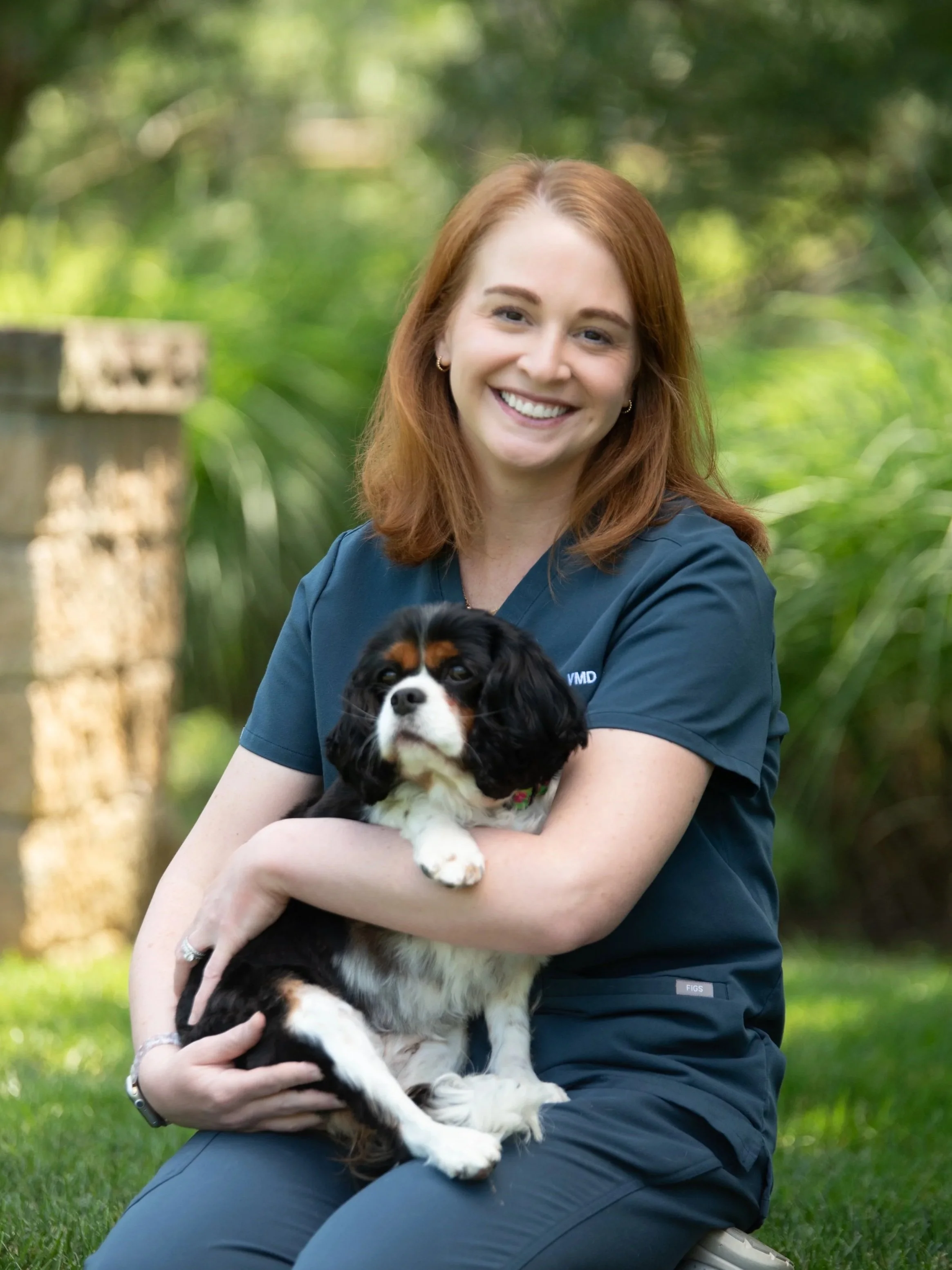 Dr. Lauren Jones, VMD holding a cavalier king charles spaniel outside in Malvern, PA.