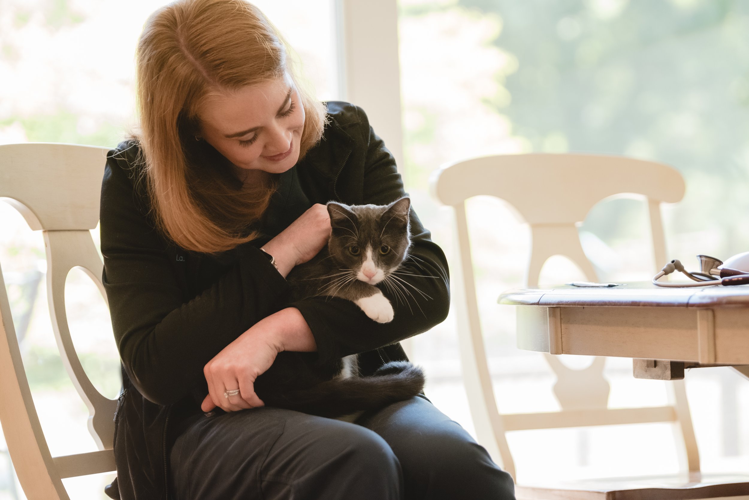 Paws at Home Mobile Veterinary Care veterinarian, Dr. Lauren Jones, VMD, petting a cat after her vet exam in Bryn Mawr, PA.