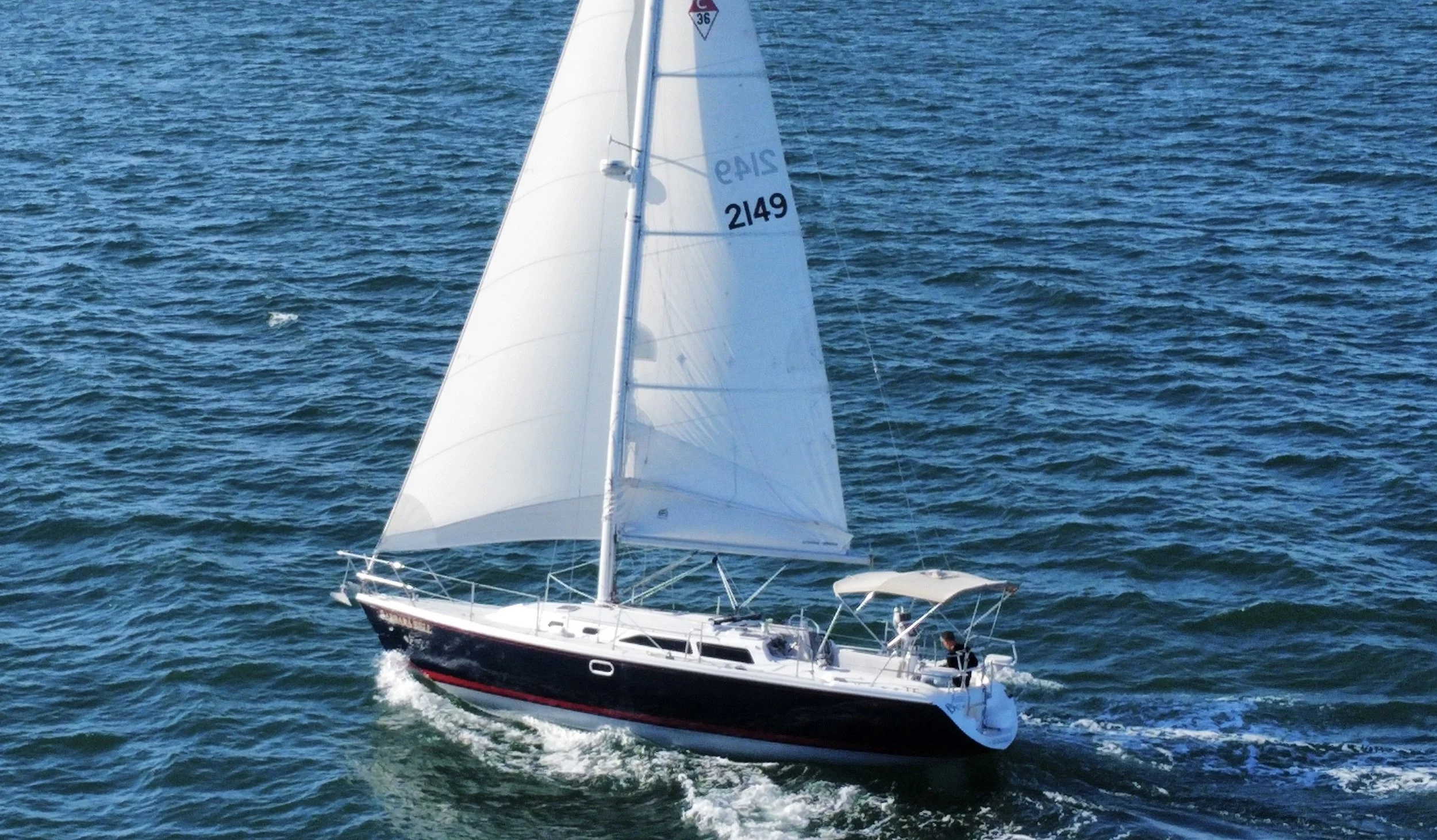 Barbara Bell, comfortable Catalina 36 MkII sailboat at Montauk Yacht Club slip 412 ready for private sailing charters