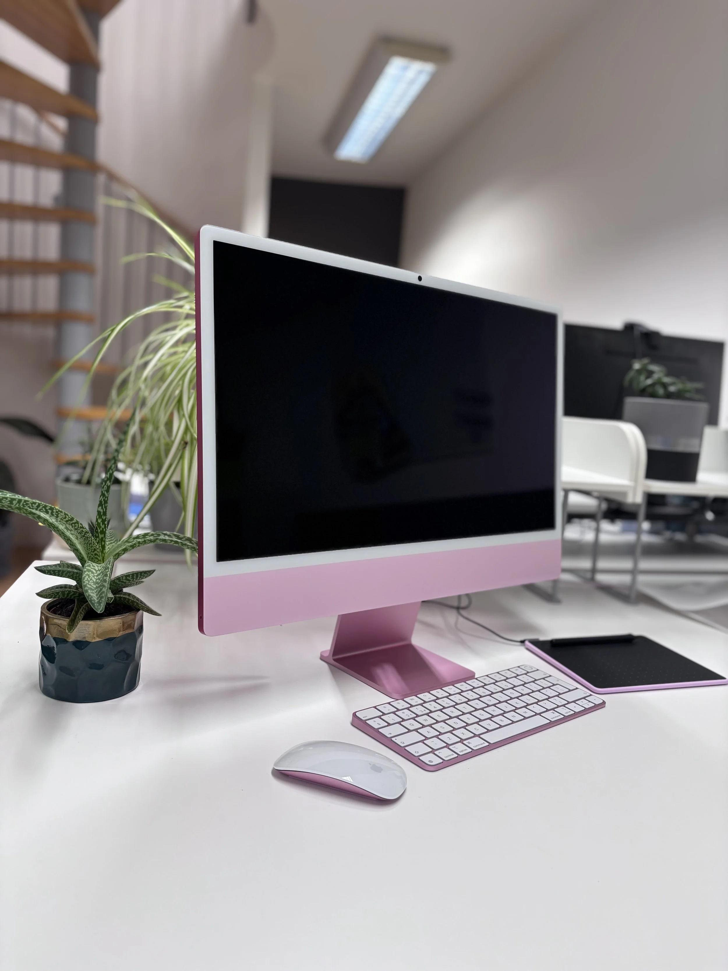 Pink desktop computer with a keyboard, mouse, and a drawing tablet on a white desk, next to a potted plant with long green leaves, in an office setting with an overhead fluorescent light.