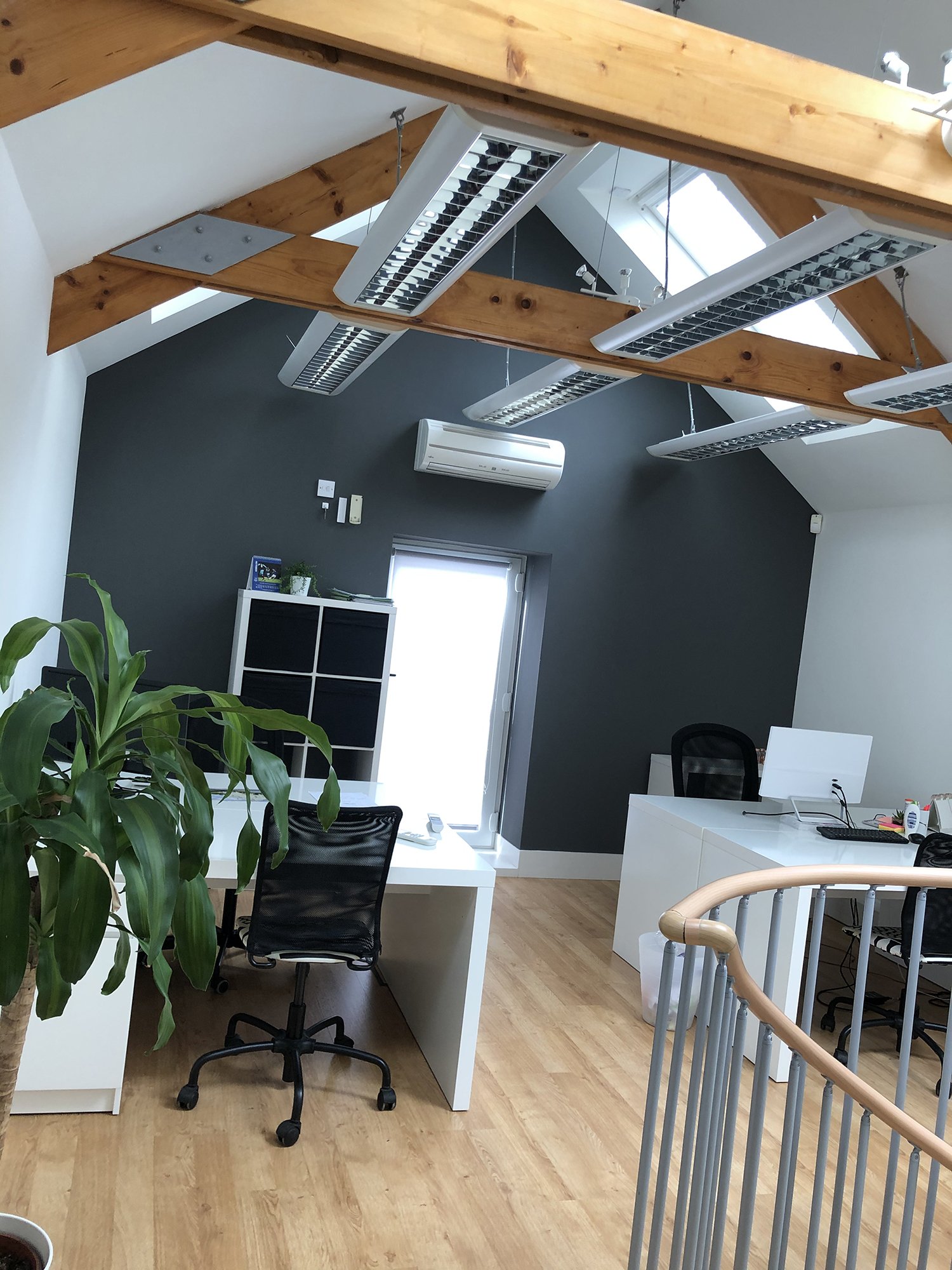 Office space with two white desks, black office chairs, a grey wall, a window, ceiling lights, a large potted plant, and exposed wooden beams on the ceiling.