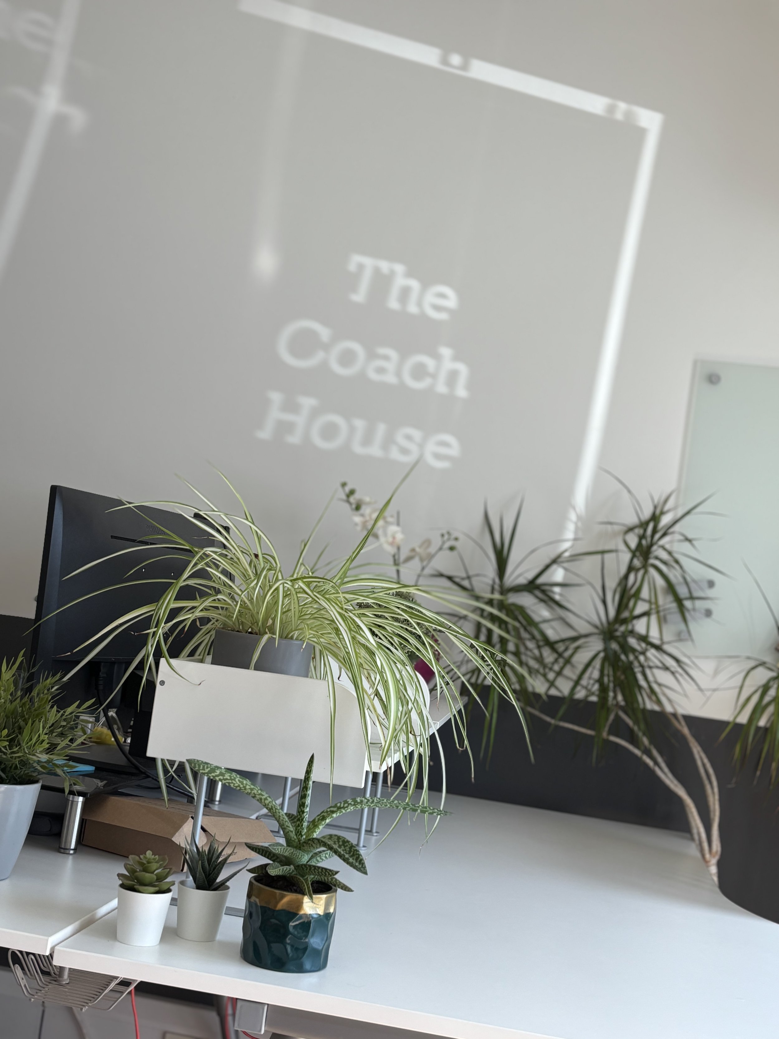 Office desk with various potted plants and a monitor. In the background, a wall with the words 'The Coach House' reflected.