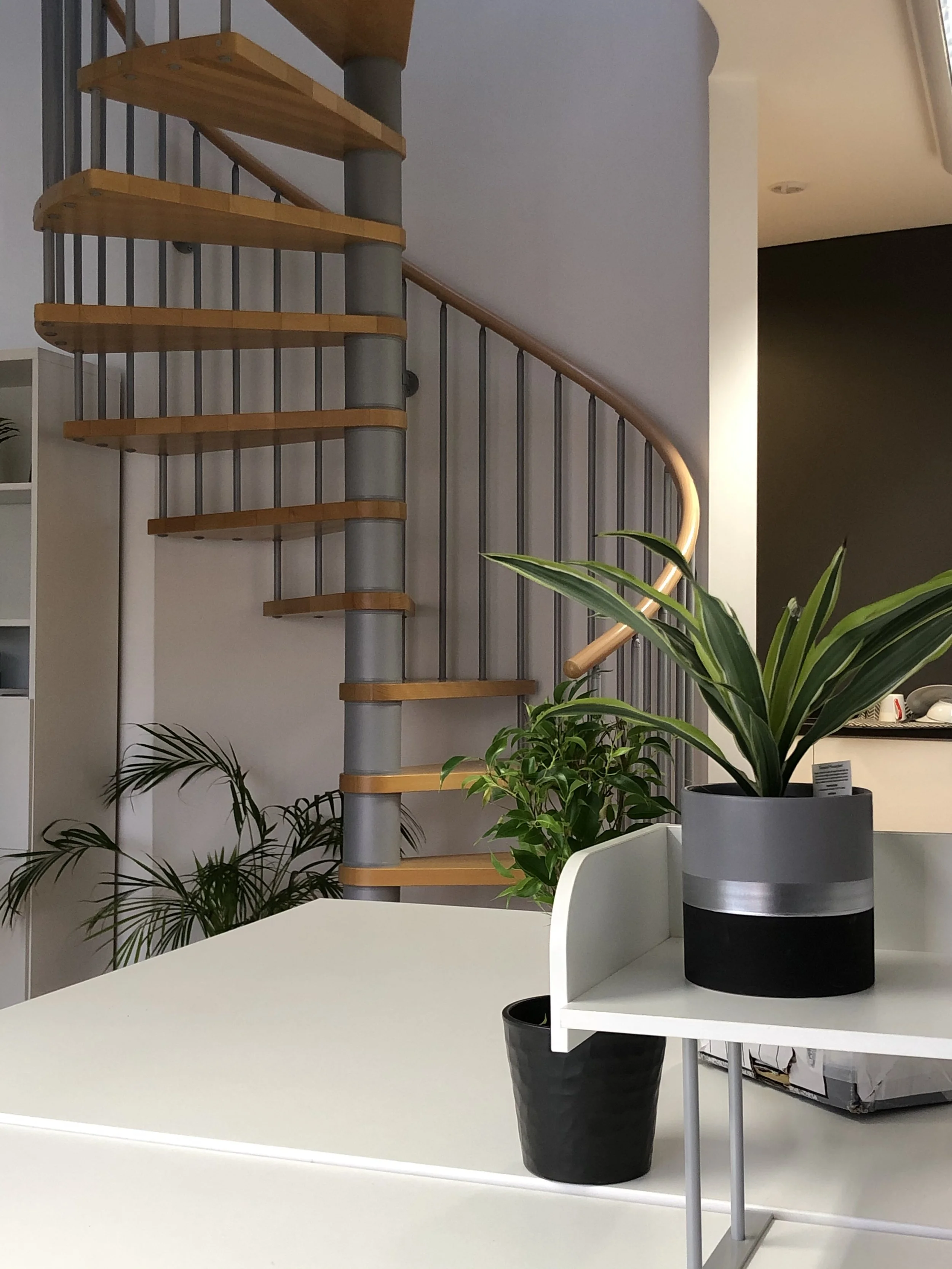 Indoor scene with a spiral staircase, potted plants, and a white table.