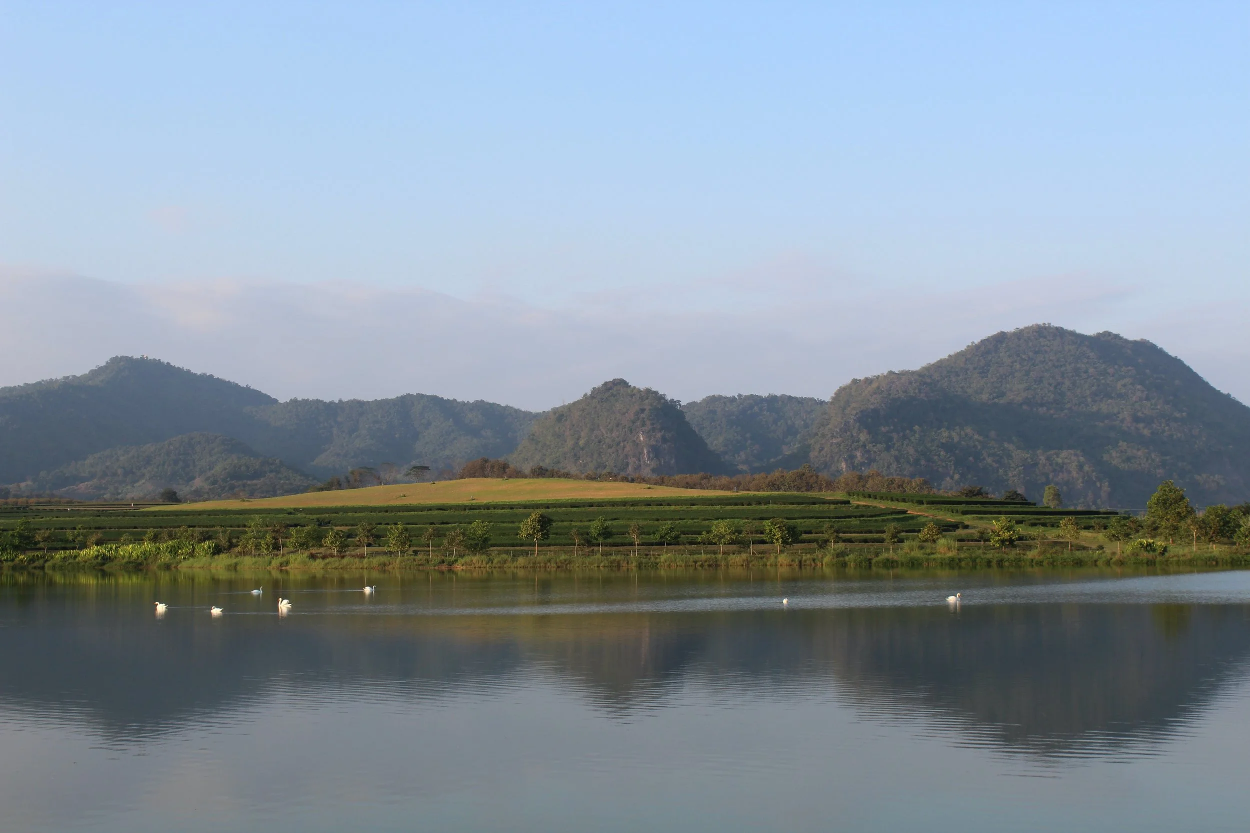 Scenic landscape with calm lake in the foreground, green trees and fields, and mountains in the background under a blue sky.
