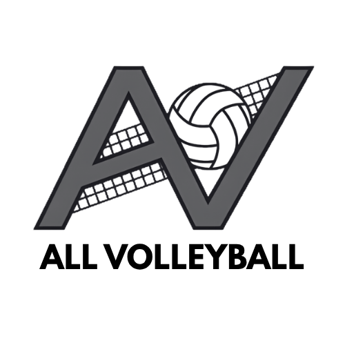 Logo with large stylized letters 'A' and 'V', featuring a volleyball and net integrated into the design.