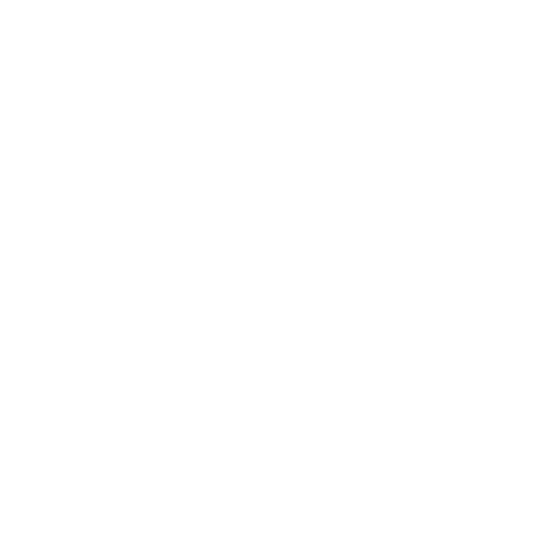 Two white right-pointing arrows on a black background.