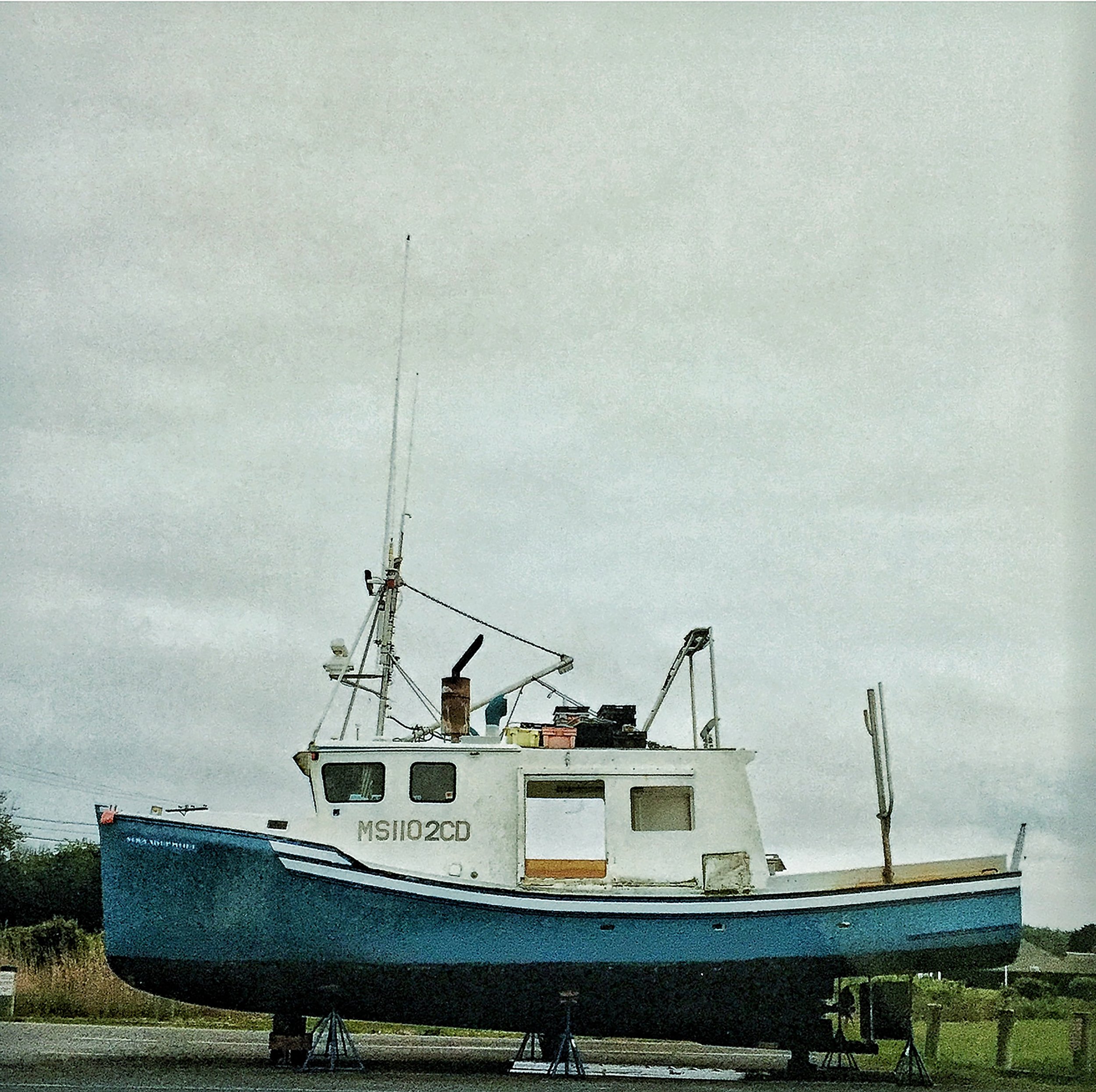 IMG_7126.jpeg