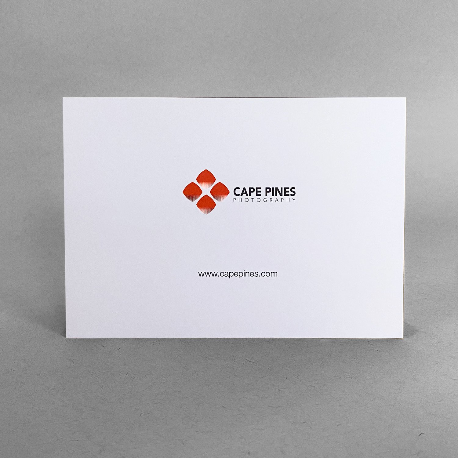 Card Back_.jpg