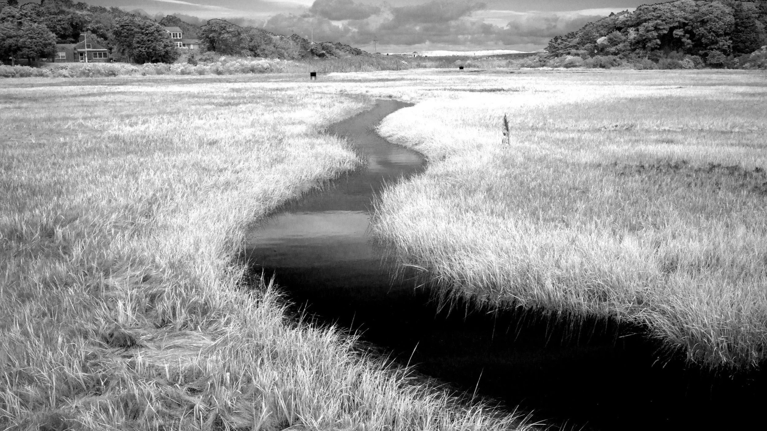 Black and white photo of at the salt marshes up along the Outer Cape Cod, slow living, stillness, time, observation and reflection.