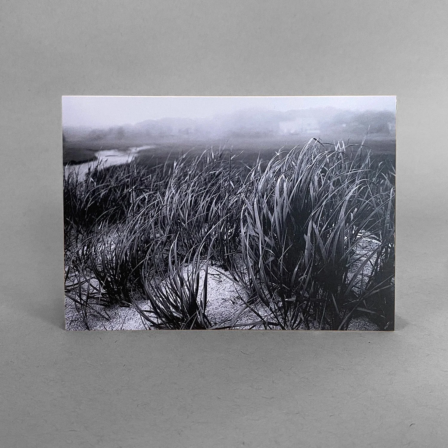 Misty Dunes
