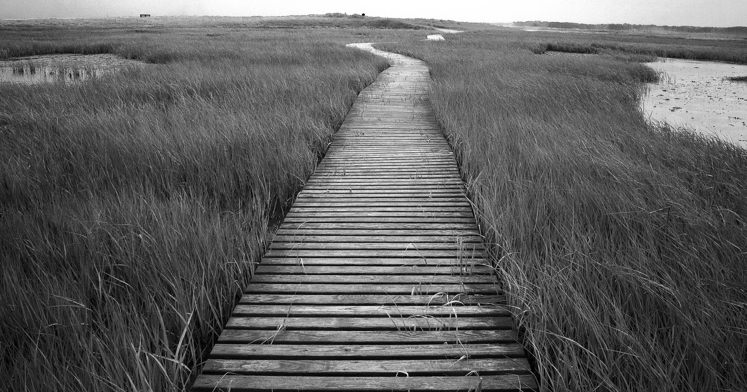 IMG_3703 Modified.jpg