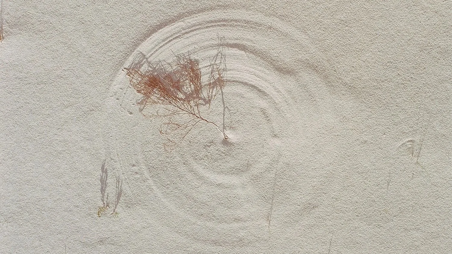 A single dry leaf resting on a swirled pattern drawn in white sand, with a textured background.