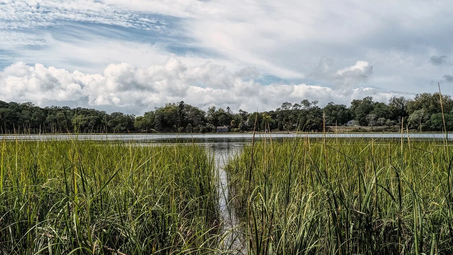 Nauset Marsh with lush green grass making way for a view across Salt Pond of a house on Nauset Marsh Cape Cod Print