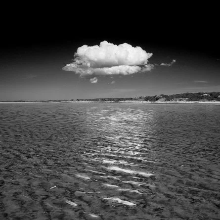 Observing Cape Cod - Part One: An upcoming study of Thoreau’s Cape Cod