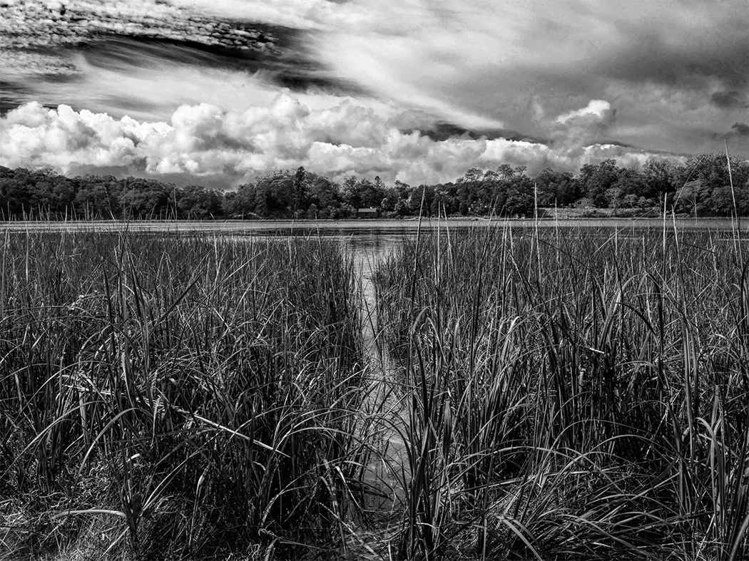 Observing Cape Cod - Part Two: The psychology of seeing