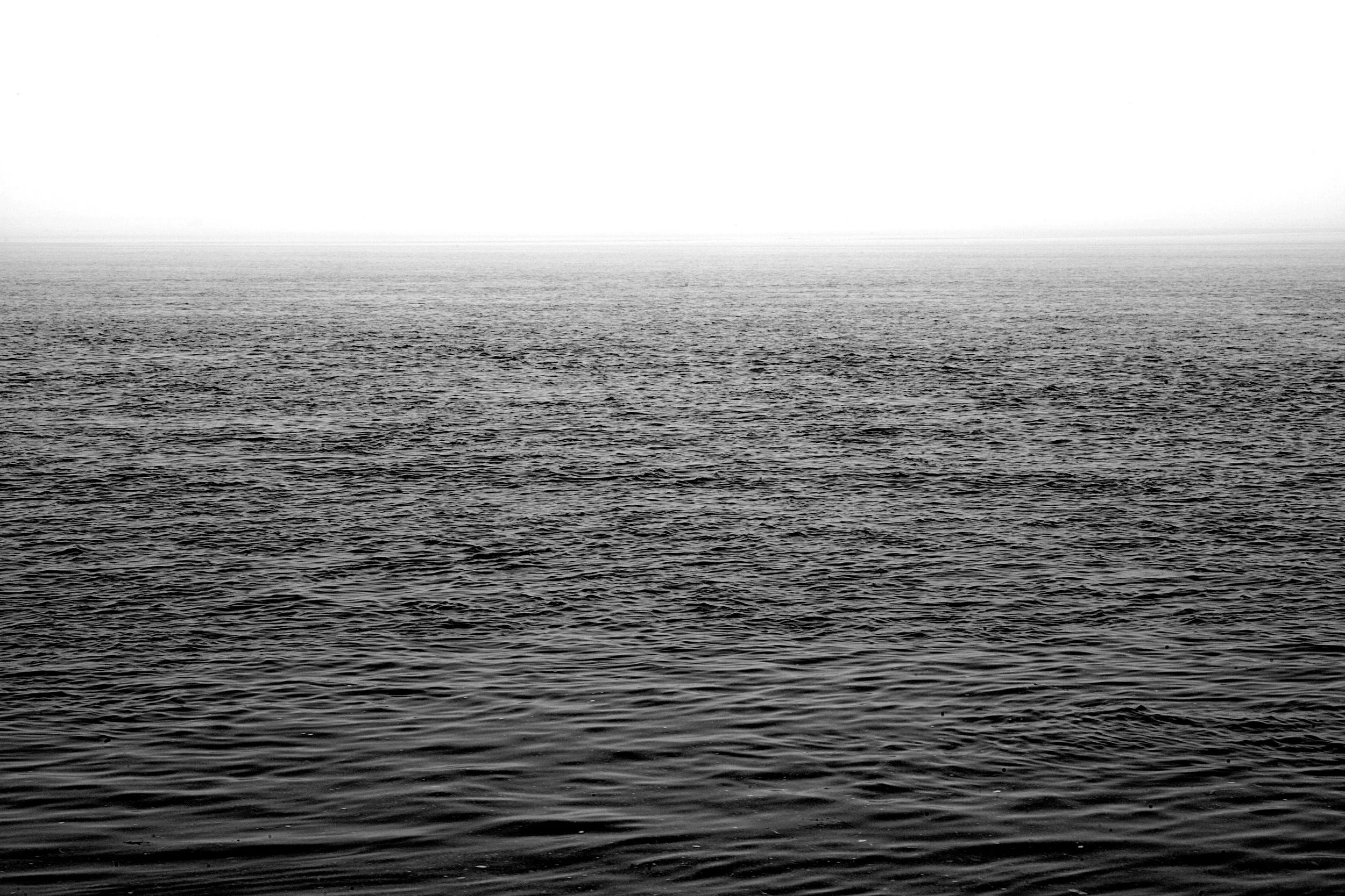 Black and White photograph of a still ocean out on Cockle Cove in South Chatham