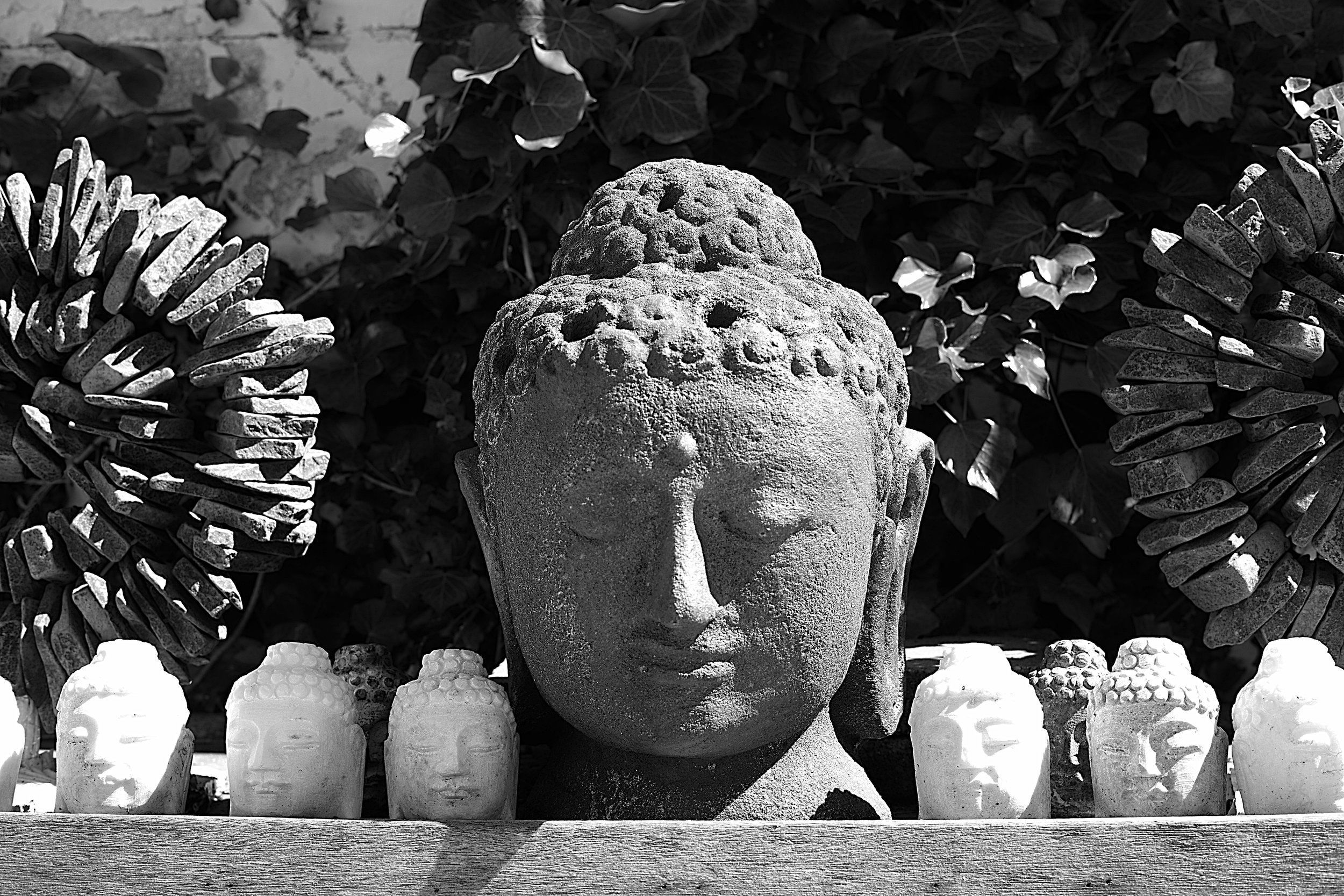 Leica Buddha Head at Buddha Bobs 1004674.jpg