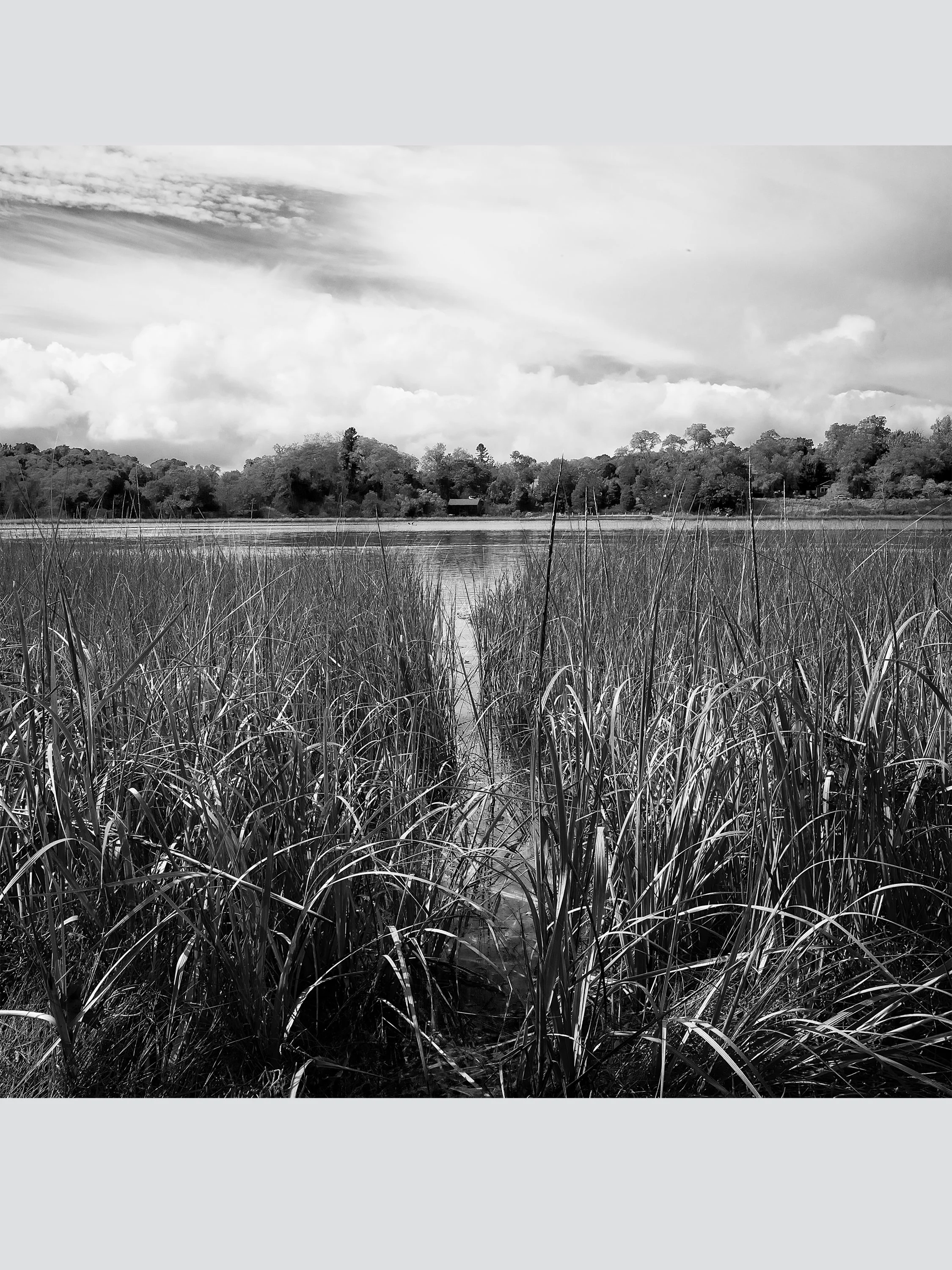 Nauset Marshes on Salt Pond