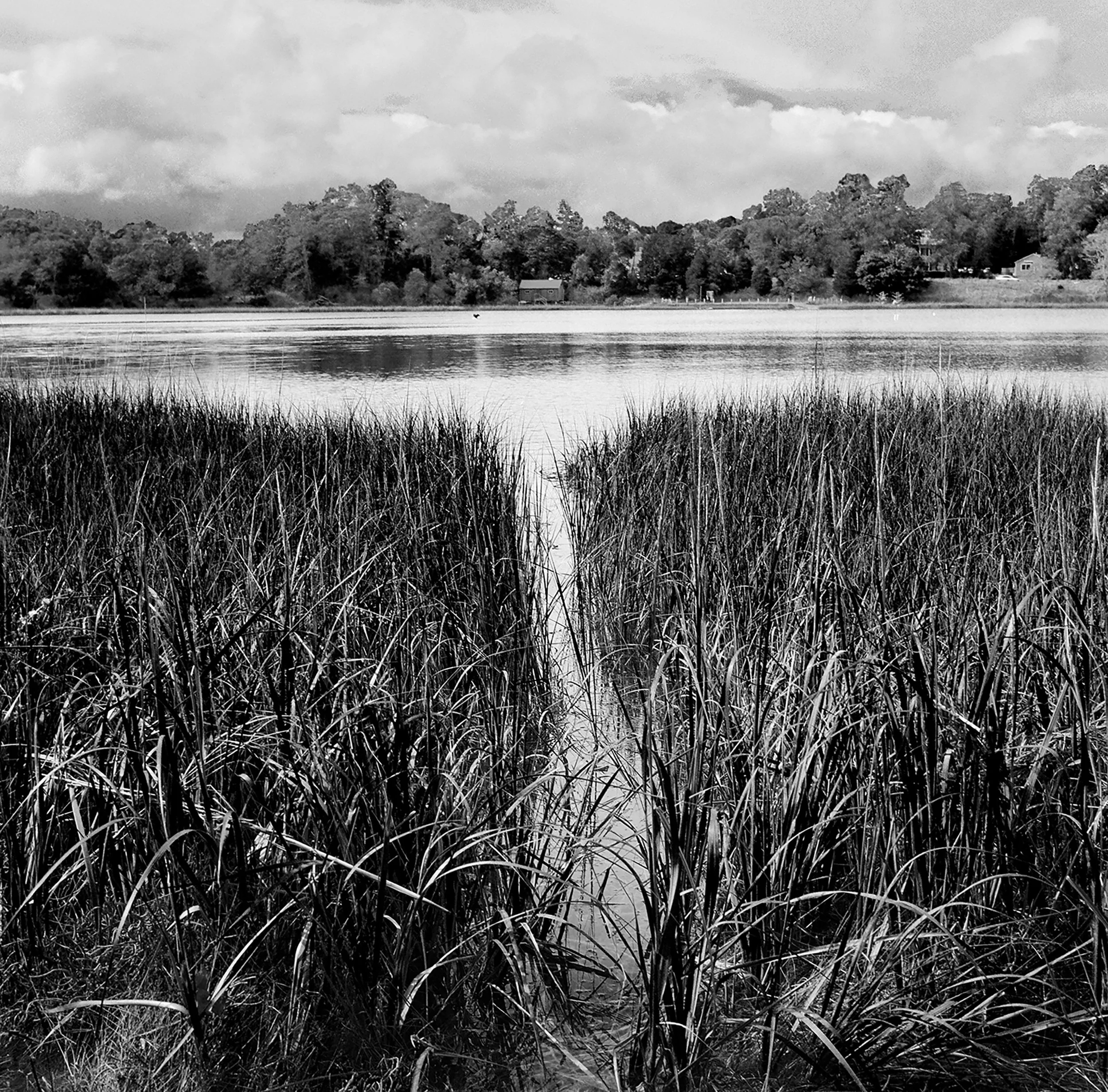 Nauset Marsh 2024 .jpg