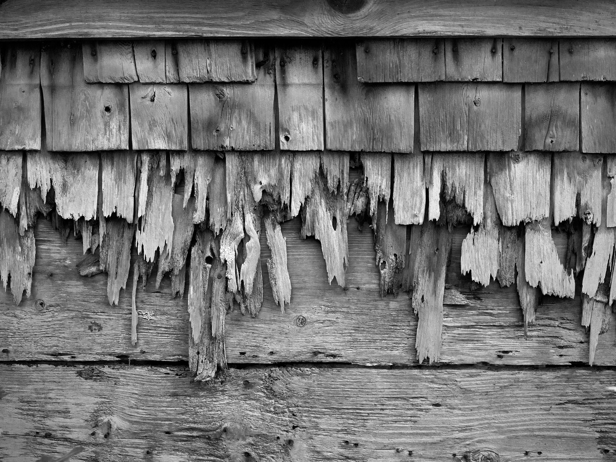 Close-up of weathered, textured, peeling wooden cedar Cape Cod shingles on an exterior wall in black and white.