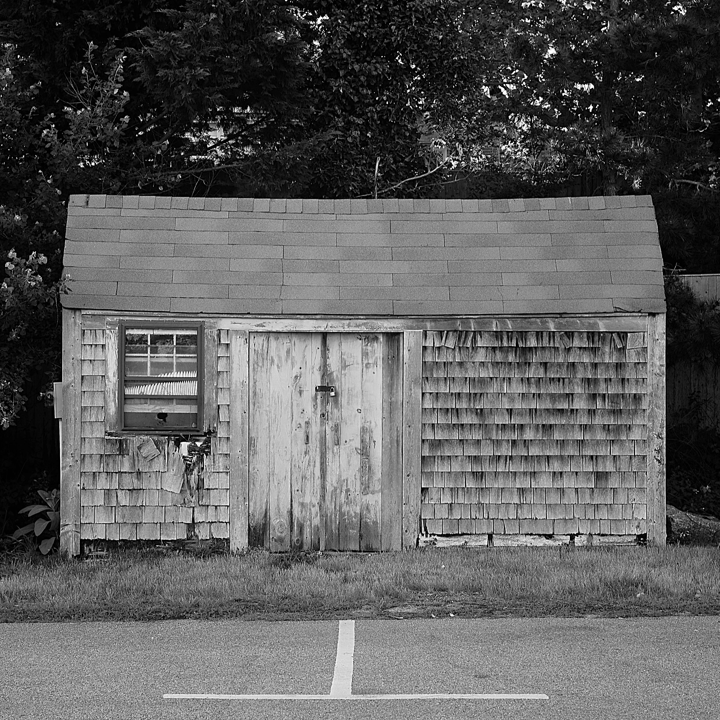 L1004824 SQUARE.jpg
