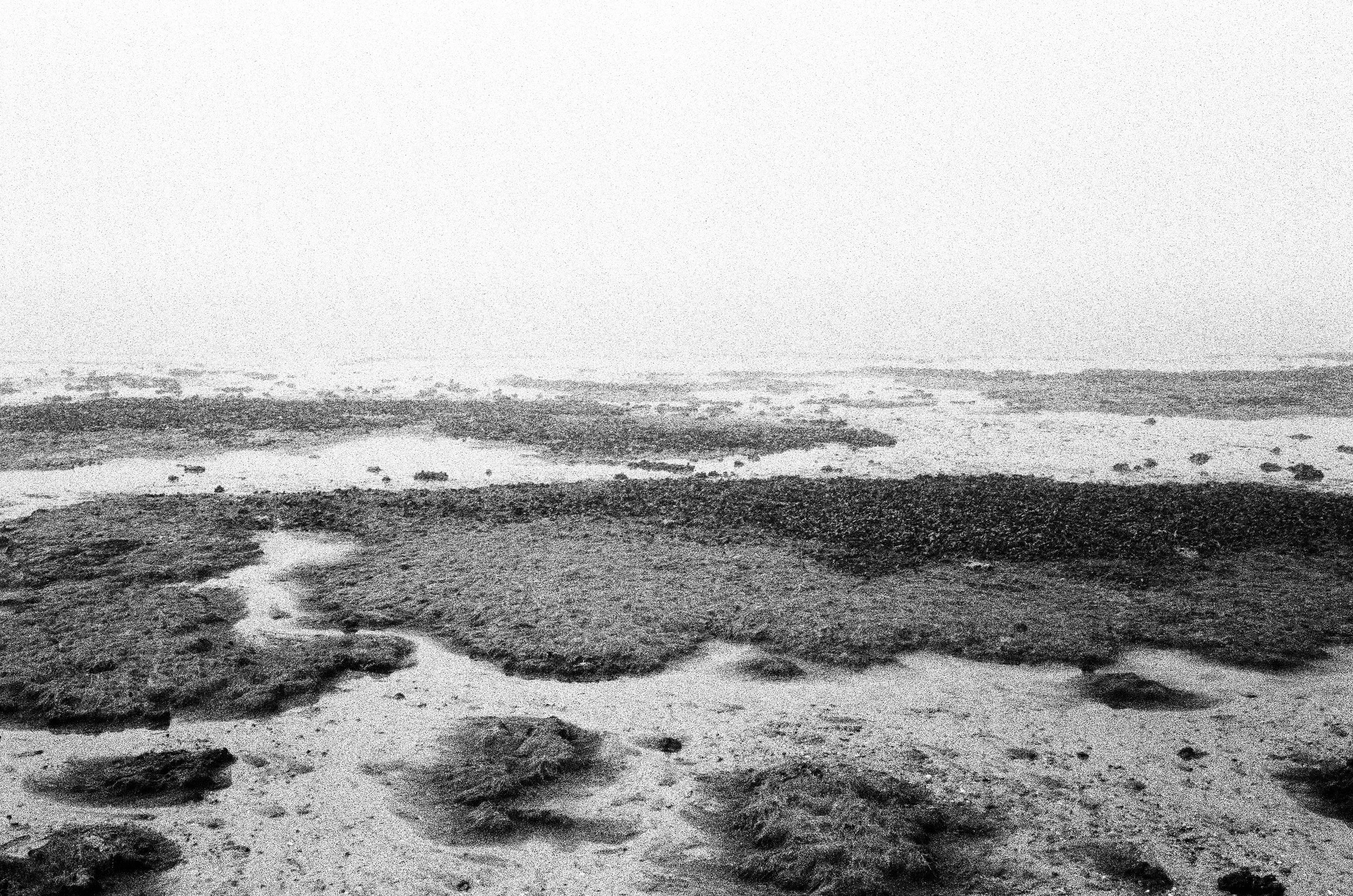 Outer Cape Cod Beach in the fog with the horizon and shoreline vanishing