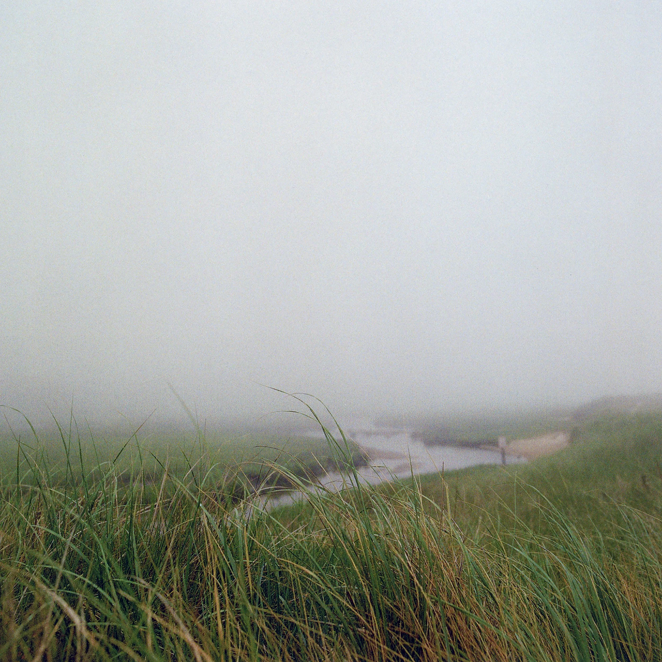 CAPE COD FOG AND GRASS FINAL.jpg