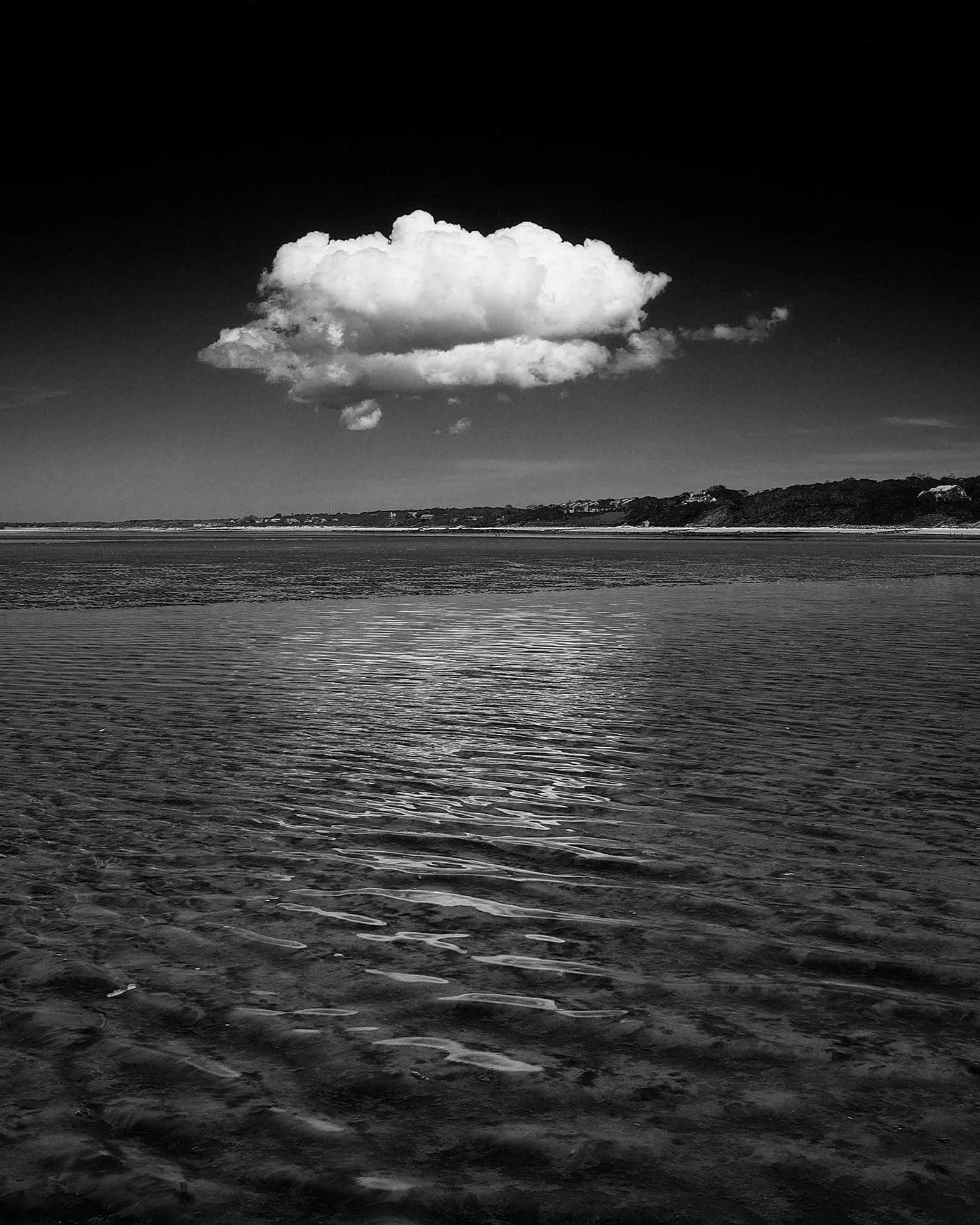 Black and white photo of a large fluffy cloud in the sky above a calm body of water with a distant shoreline.