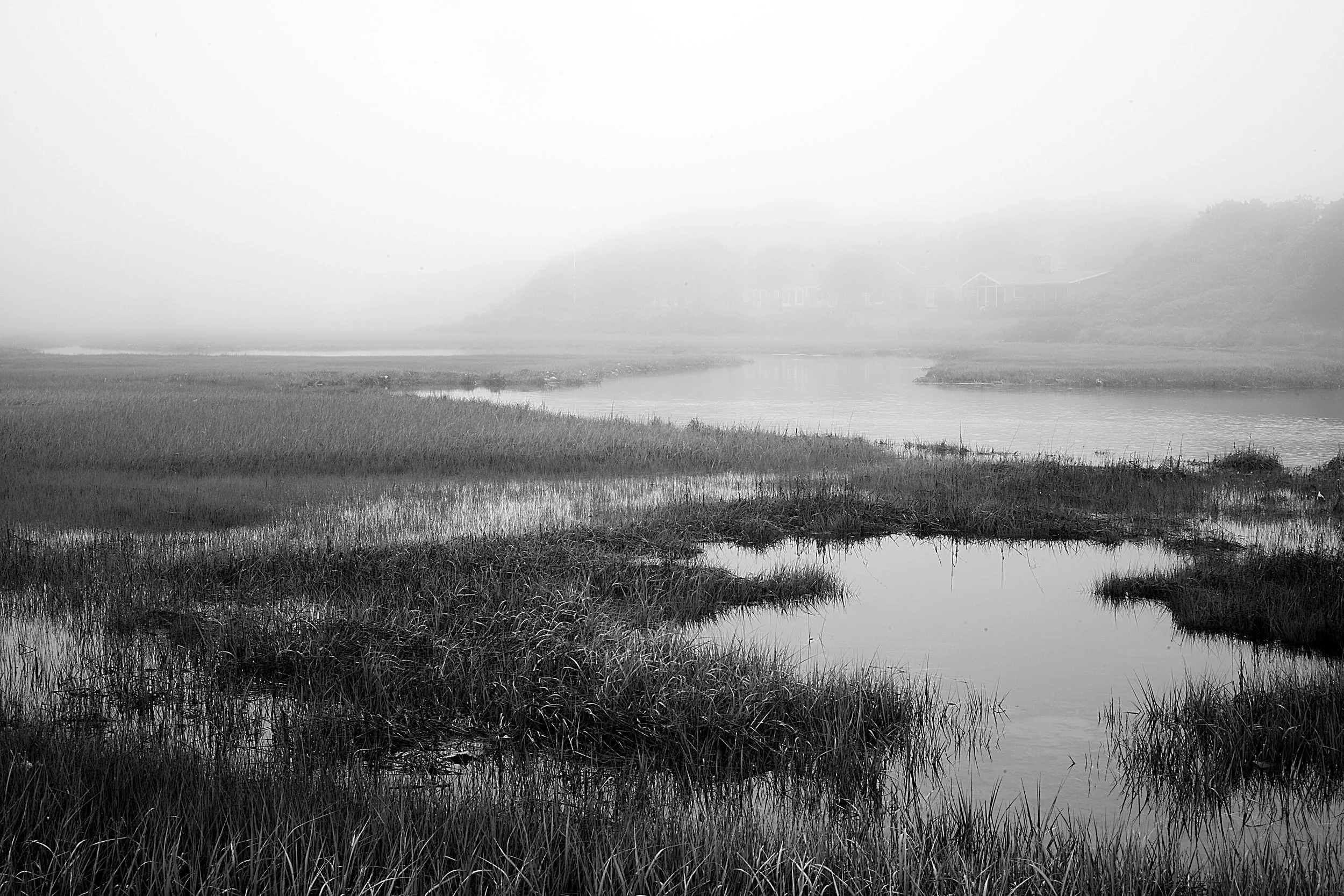 Black and white photograph of the salt marches up in Nauset in the fog on the Outer Cape Cod
