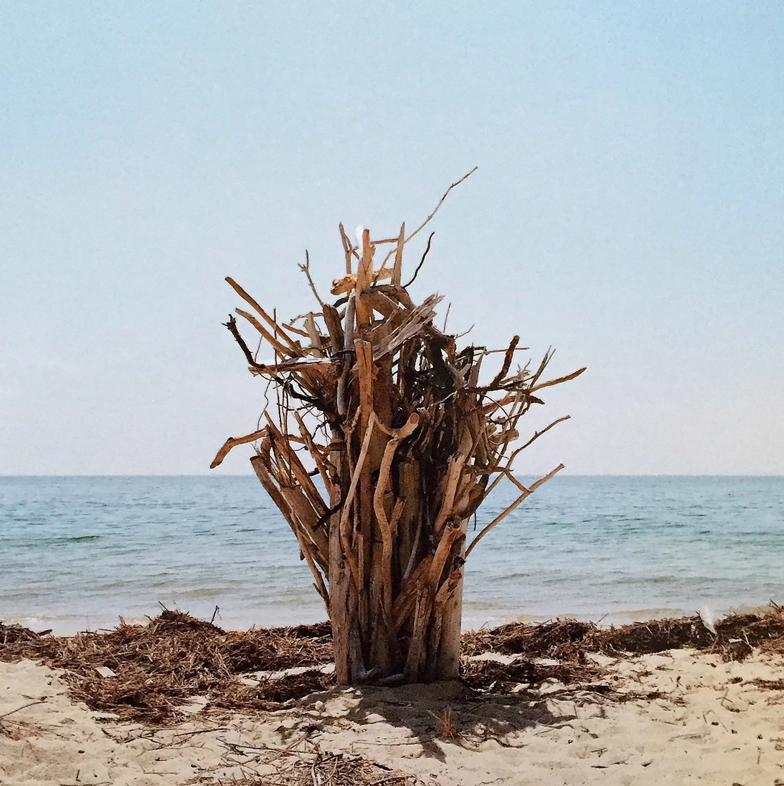 Long Point Beach Sculpture.jpeg