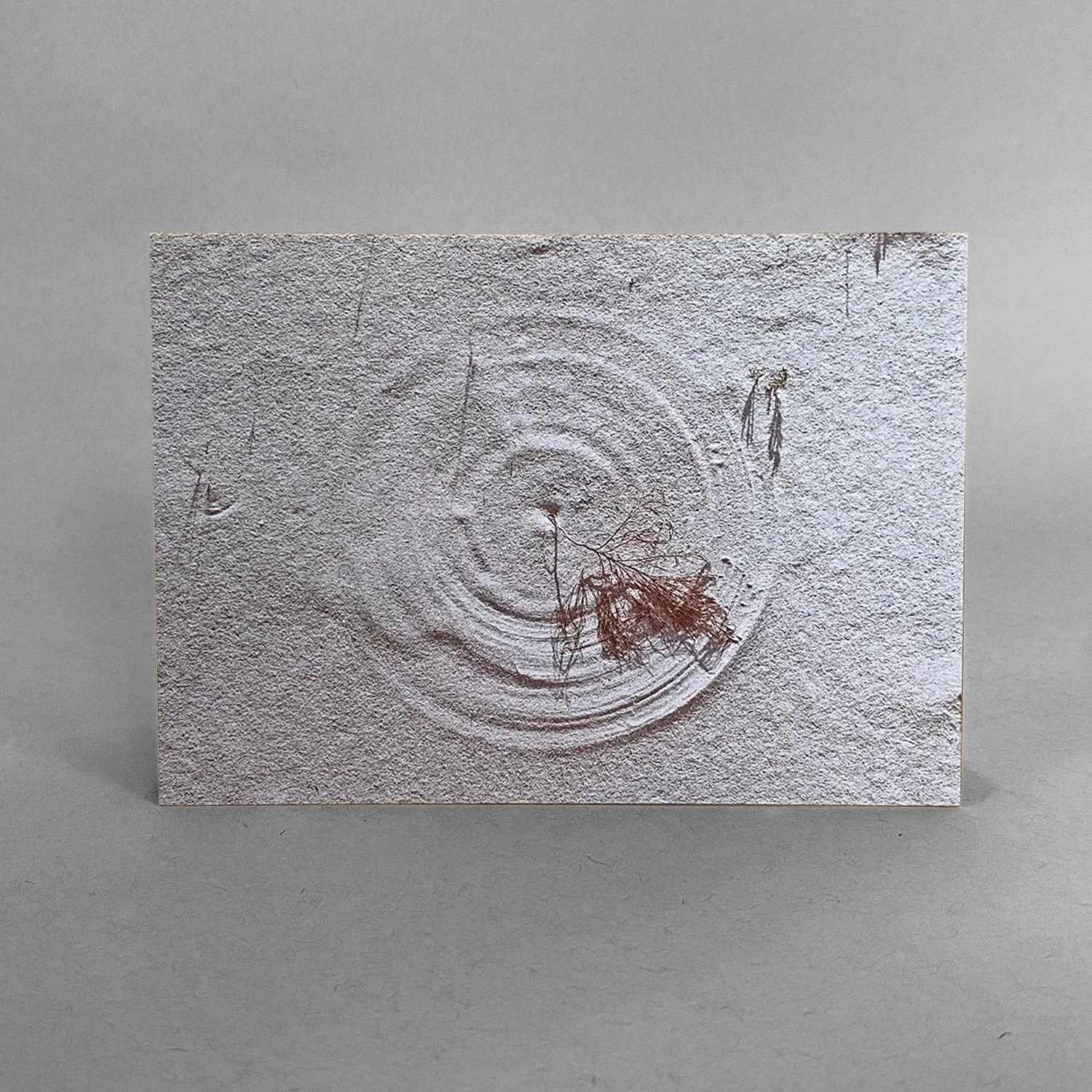 Circle in the Sand